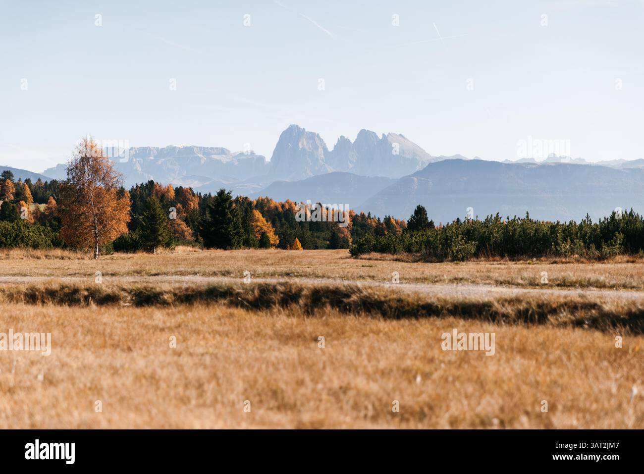 Herbstwiesen mit Dolomitengipfeln in Südtirol Stockfoto