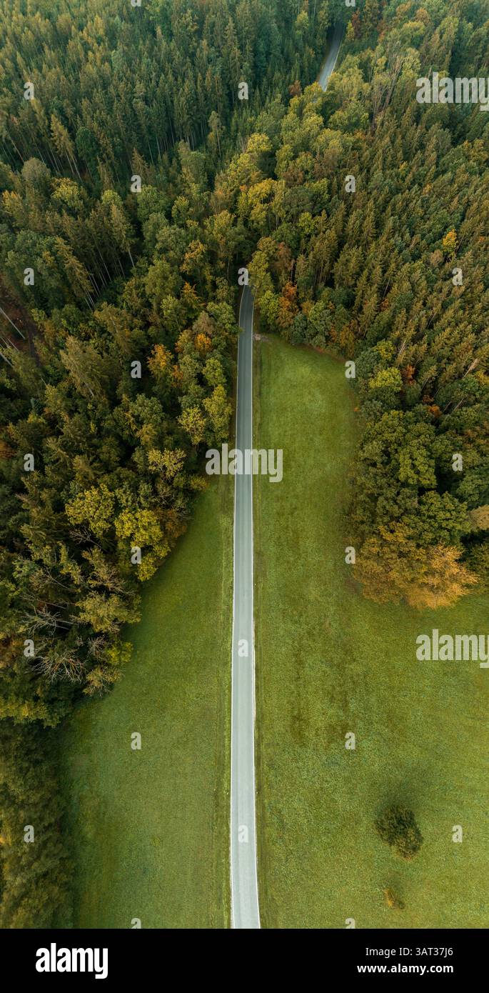 Drohnenansicht einer in den Wald führenden Straße in Baden-Wurrtemberg. Vertikales Panorama mit einer Straße durch den Schwarzwald Stockfoto
