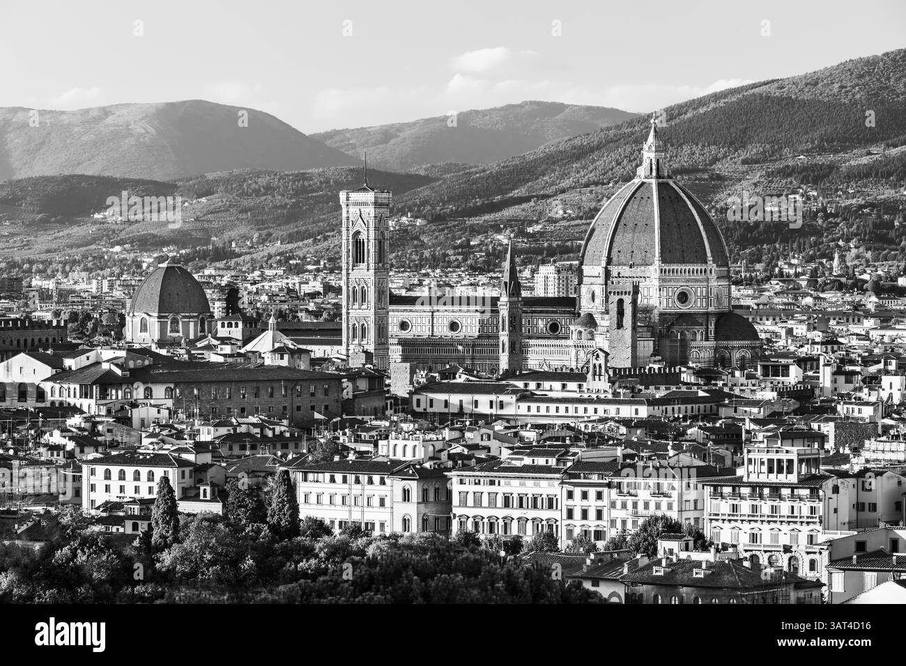 Santa Maria del Fiore, gotische Kathedrale, toskanischer Typ, Renaissanceduppel, Florenz, Kathedrale von Florenz, Arnolfo di Cambio, Giotto di Bondone, Kreuzrippe Stockfoto
