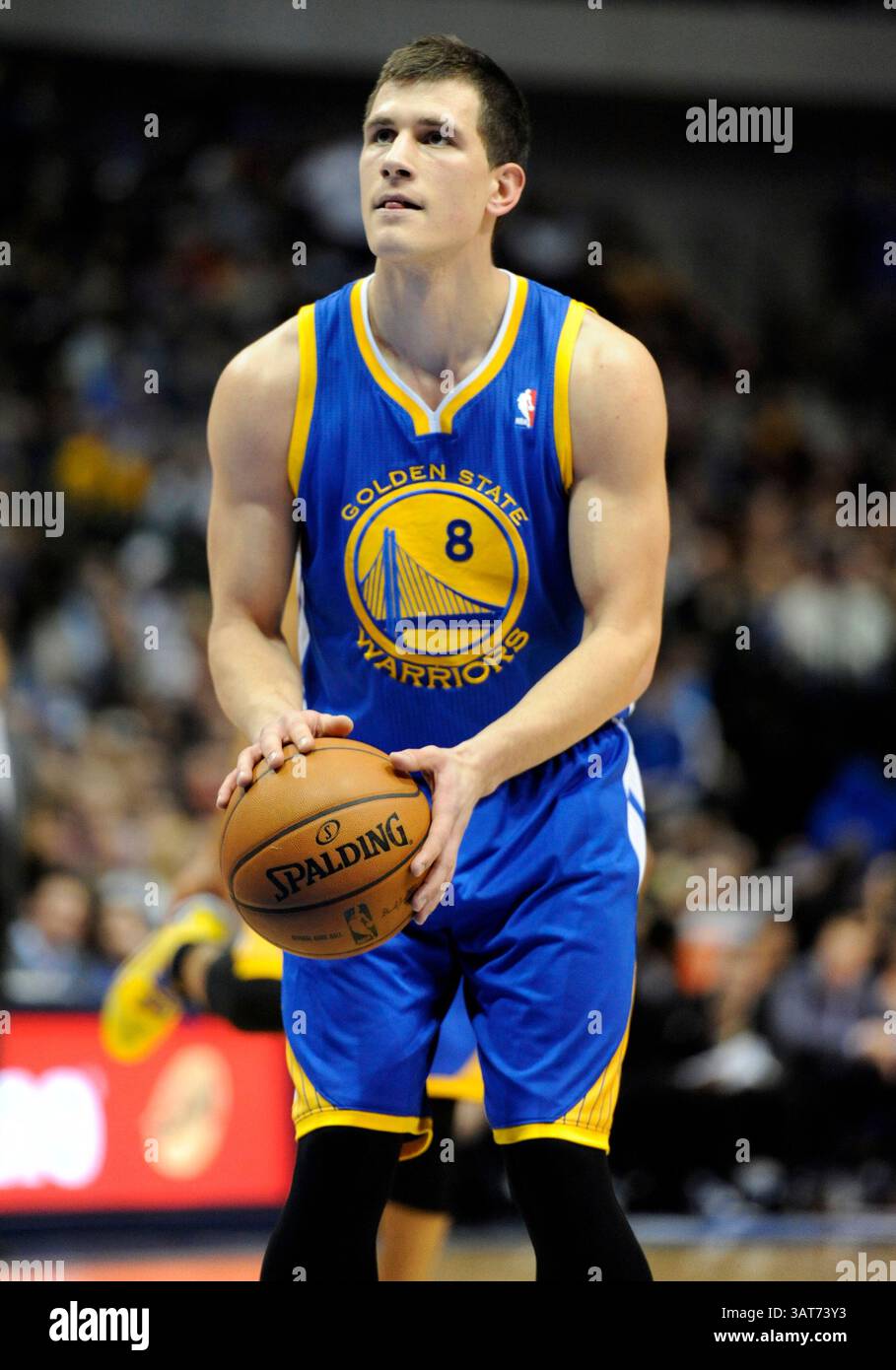 27. November 2013: Die Golden State Warriors zeigen die Wache Nemanja Nedovic #8 während eines NBA-Spiels zwischen den Golden State Warriors und den Dallas Mavericks im American Airlines Center in Dallas, TX Dallas besiegte Golden State 103-99(Credit Image: © Albert Pena/Cal Sport Media/ZUMAPRESS.com) Stockfoto