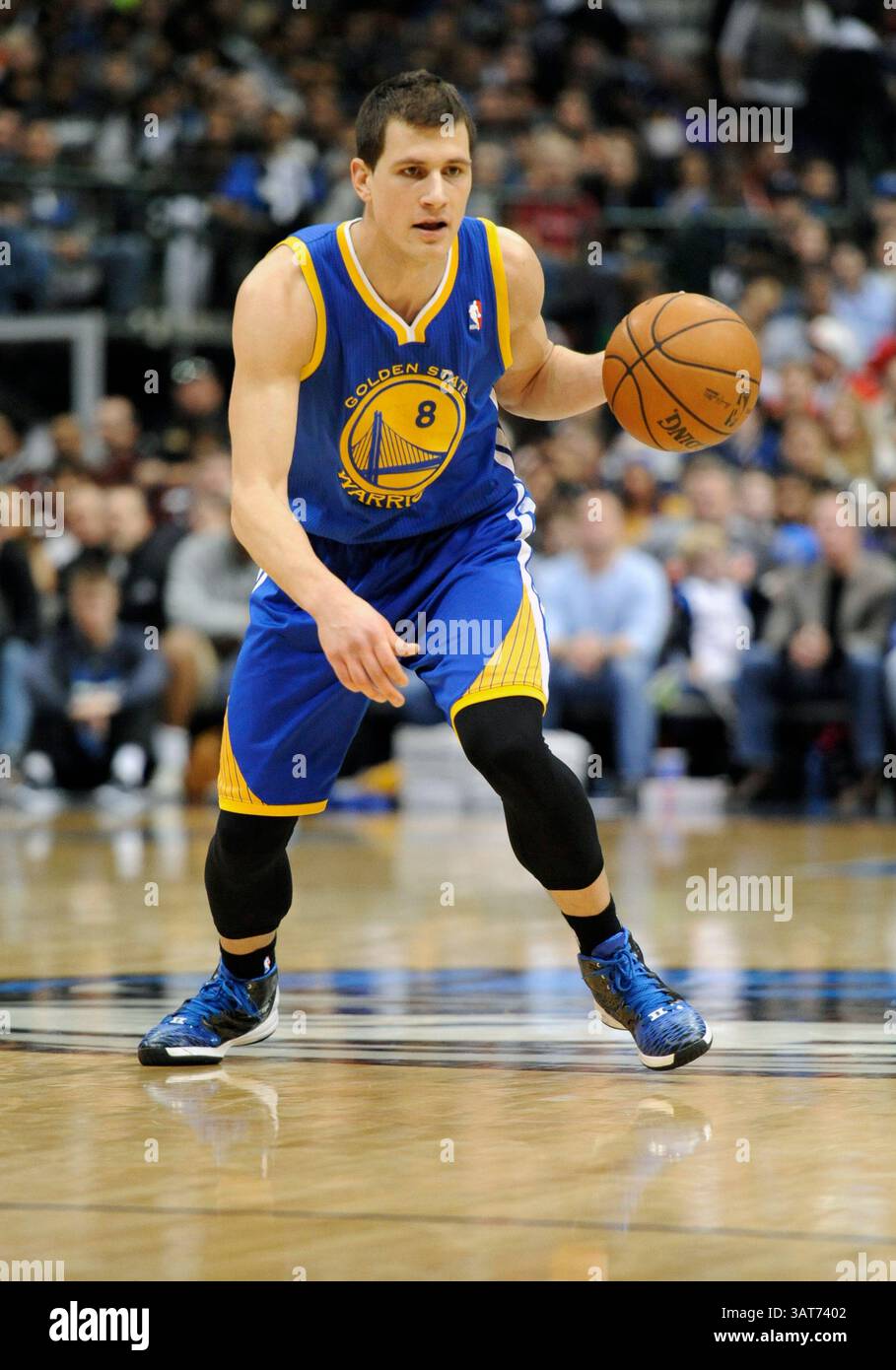 27. November 2013: Die Golden State Warriors zeigen die Wache Nemanja Nedovic #8 während eines NBA-Spiels zwischen den Golden State Warriors und den Dallas Mavericks im American Airlines Center in Dallas, TX Dallas besiegte Golden State 103-99(Credit Image: © Albert Pena/Cal Sport Media/ZUMAPRESS.com) Stockfoto