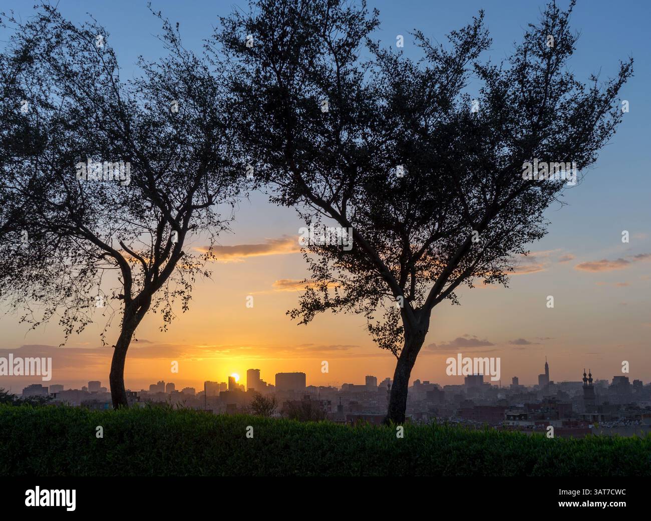 Ein ruhiger Blick auf den Sonnenuntergang über eine Skyline der Stadt, eingerahmt von zwei Silhouettenbäumen. Der Himmel ist in warmen Orange- und Blautönen gestrichen, was einen ruhigen geldautomaten schafft Stockfoto