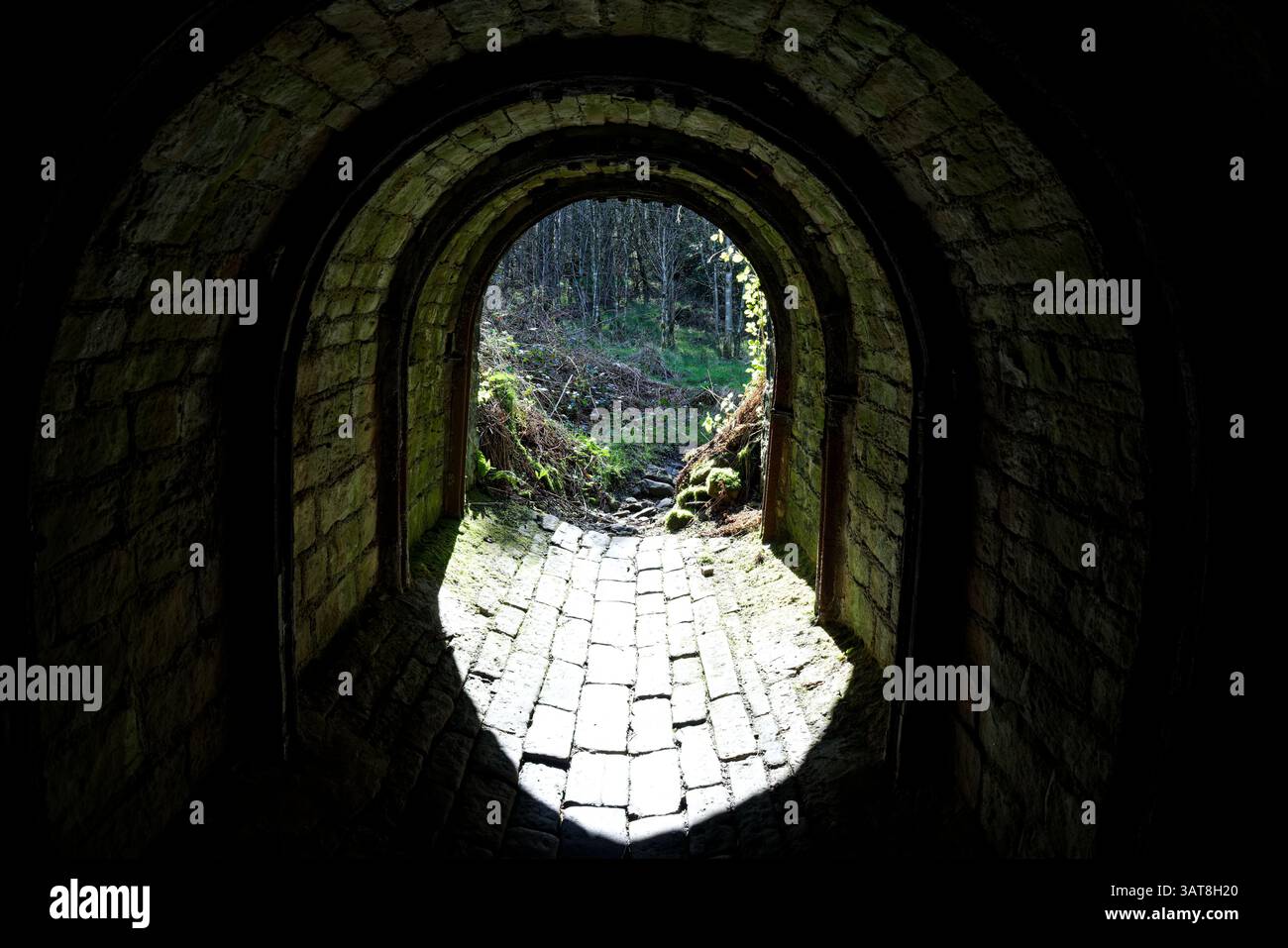 Der dunkle Tunnel taucht unter dem Longdendale Trail, Hadfield, High Peak, Derbyshire, in hellem Sonnenlicht auf. Stockfoto