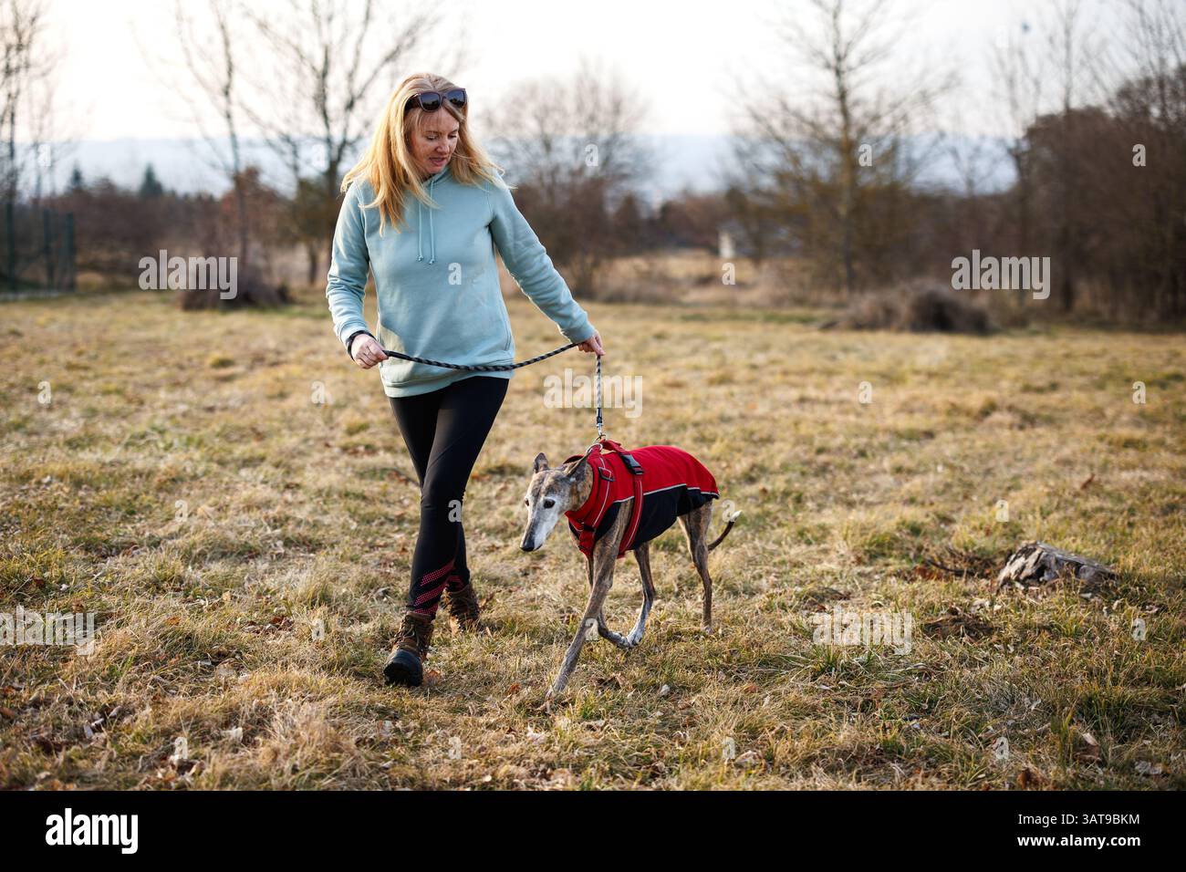 Hundegang. Eine Frau mit ihrem alten windhund, der mit Haustierkleidung bedeckt ist, läuft draußen Stockfoto