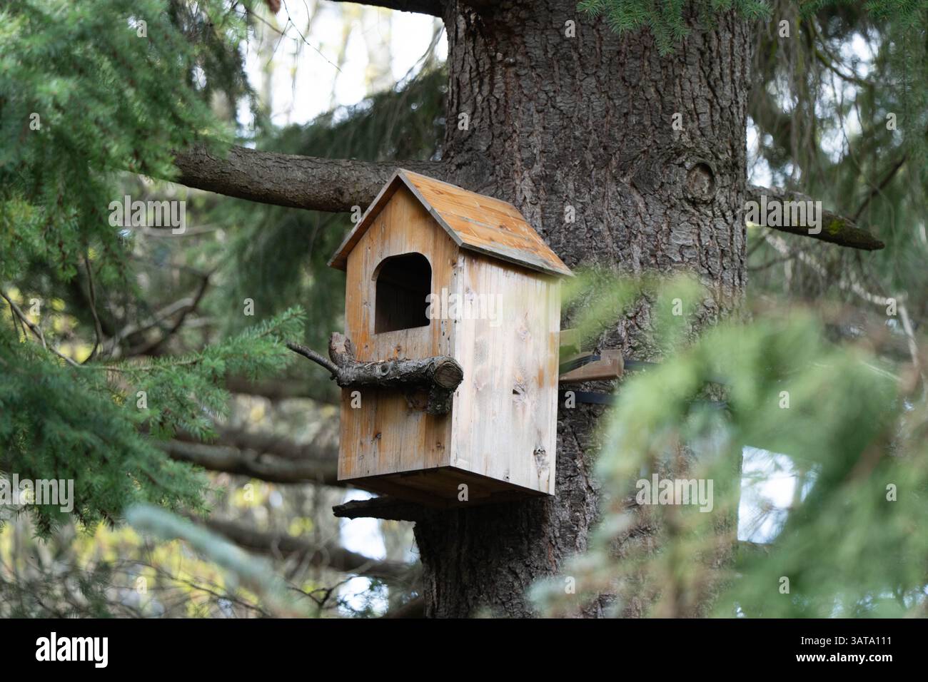Nahaufnahme eines hölzernen Eulennetzes, das an einem Baum hängt, Victoria, British Columbia, Kanada Stockfoto
