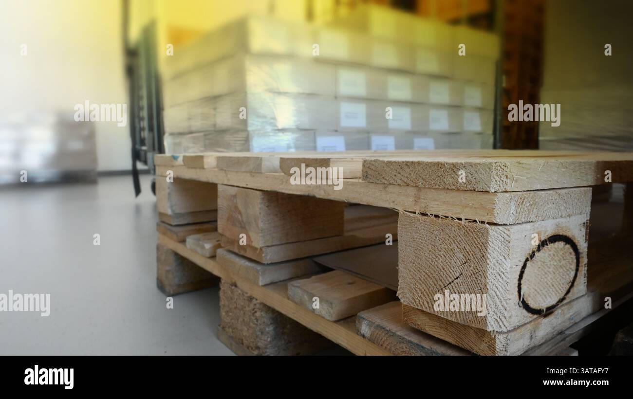 Paletten Euro mit Druckmaterialien und Kartonagen im Logistiklager. Stockfoto