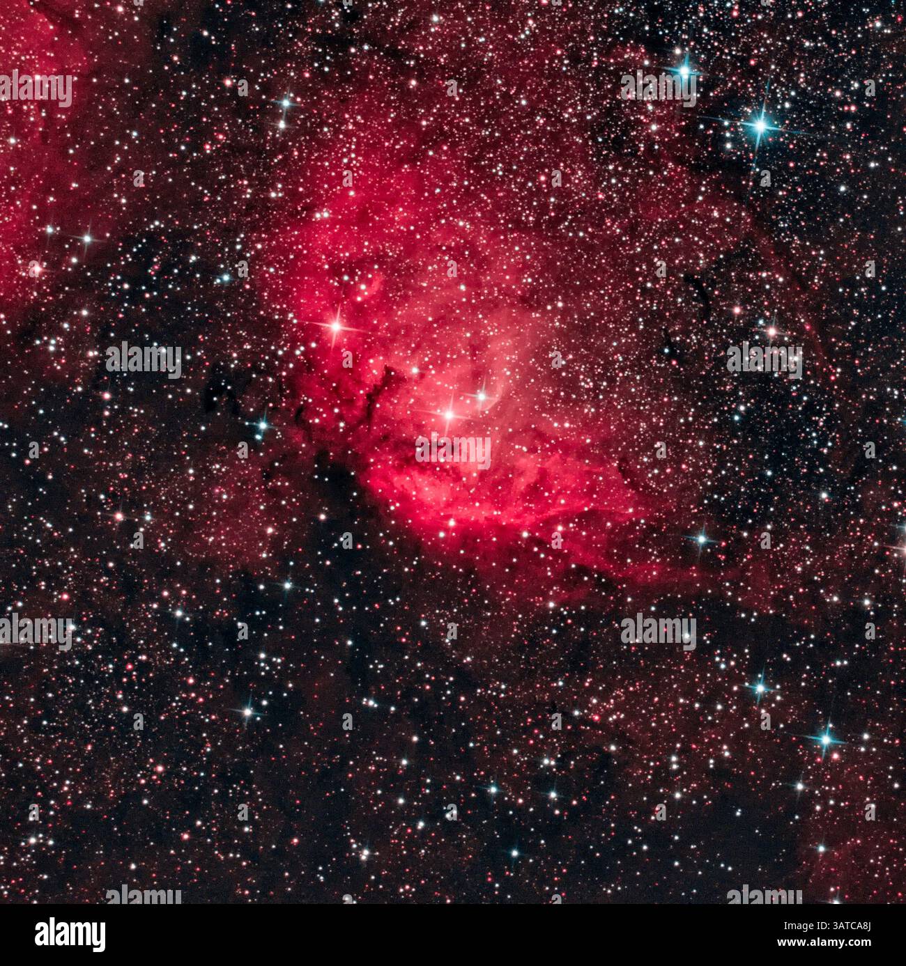 Der Tulpennebel (Sharpless 101) ist ein Emissionsnebel der H-II-Region im Sternbild Cygnus. Sie liegt in einer Entfernung von etwa 6.000 Lichtjahren von Stockfoto
