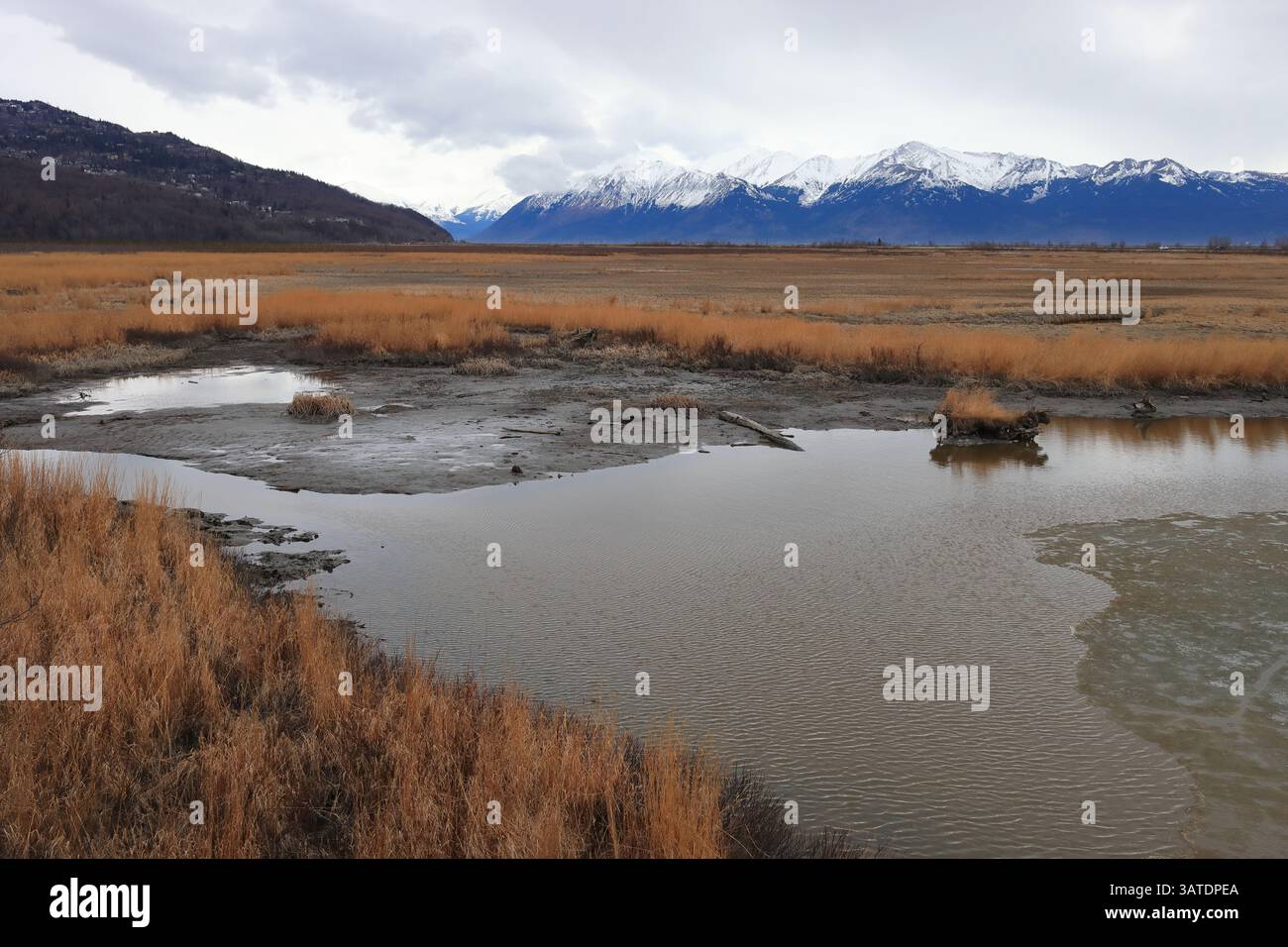 Blick auf die Pottery Marsh Stockfoto
