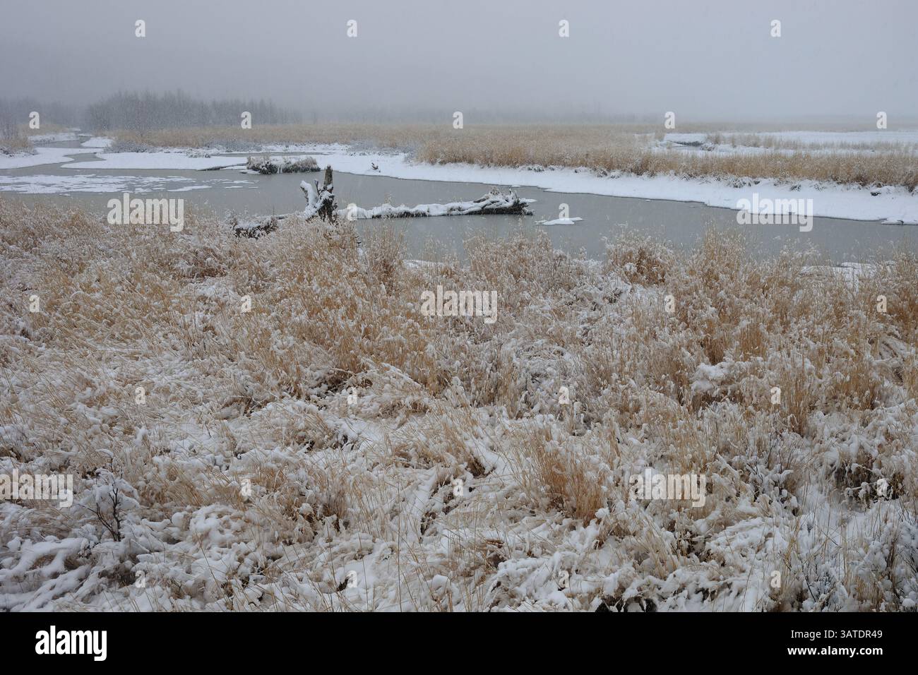 Schneebedeckter Turnagain Arm Stockfoto