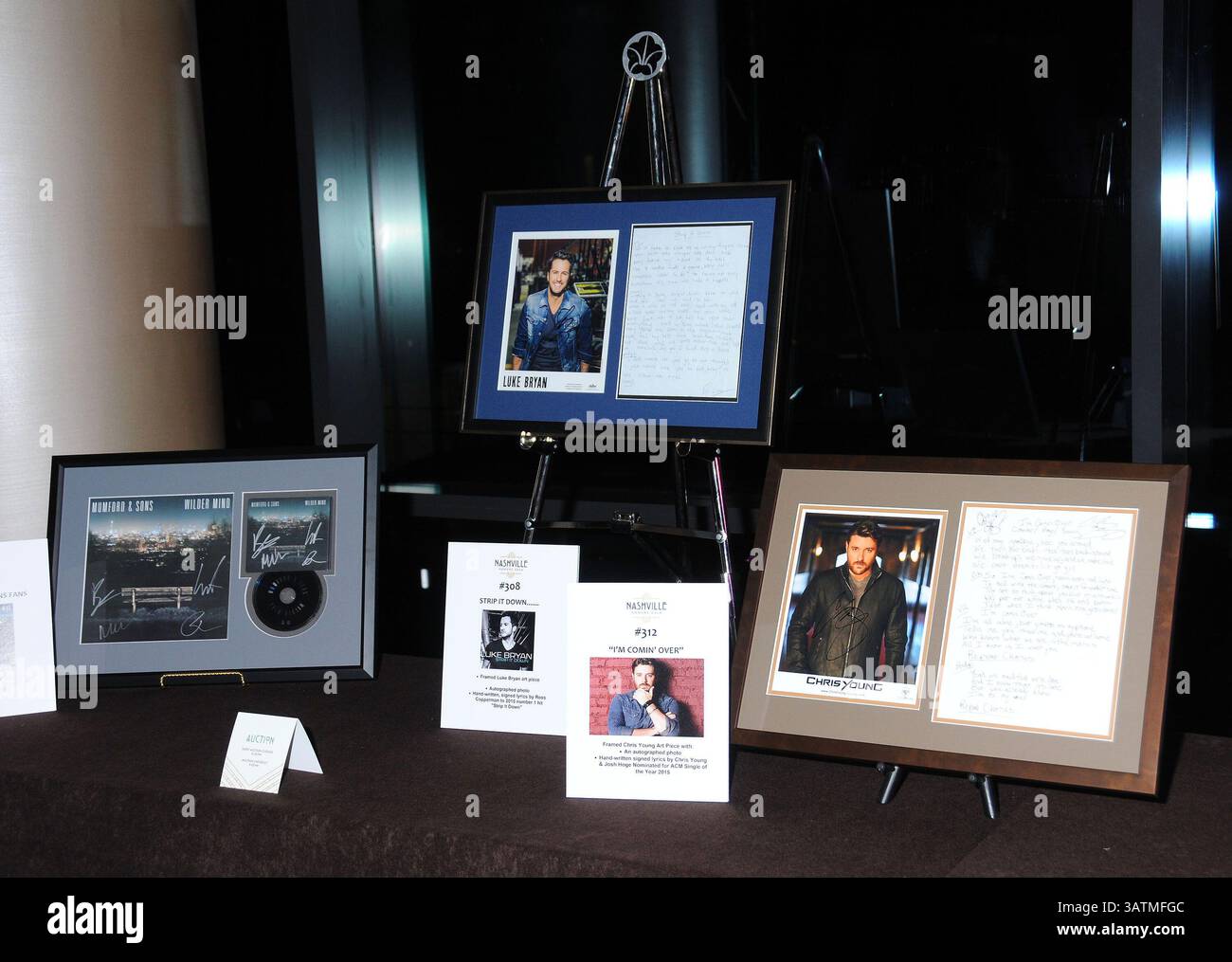 Oktober 2013 – Nashville, TN – 29. Februar 2016 – Nashville, Tennessee – Auktionsartikel. T.J. Martell Foundation 8. Jährliche Nashville Honors Gala im Omni Hotel. Foto: Laura Farr/AdMedia (Foto: © Laura Farr/AdMedia via ZUMA Wire) Stockfoto