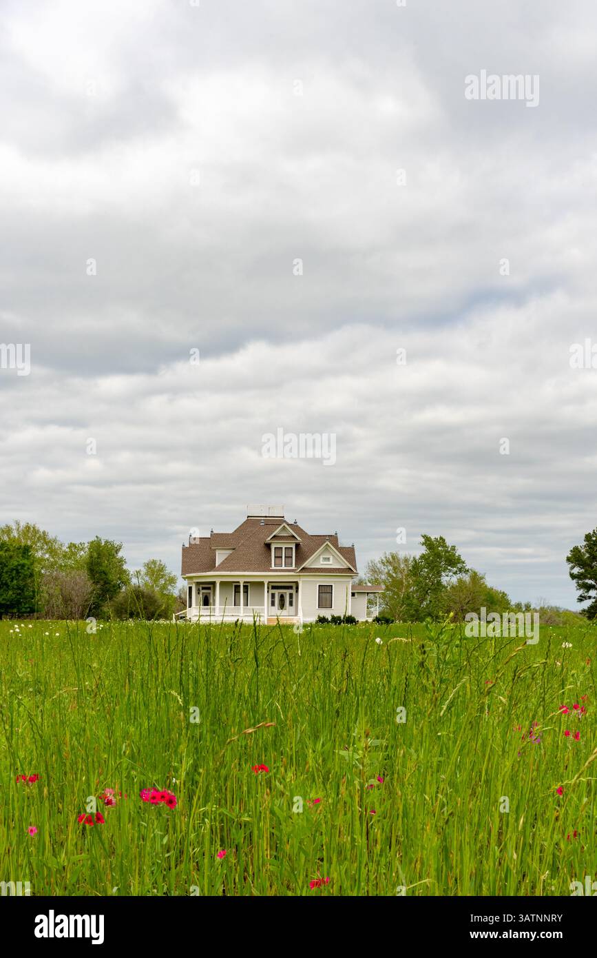Ein romantisches zweistöckiges Haus in der Ferne, Smithville, Tennessee, USA, mit Blick auf ein Feld voller Gras und wilder Blumen. Stockfoto
