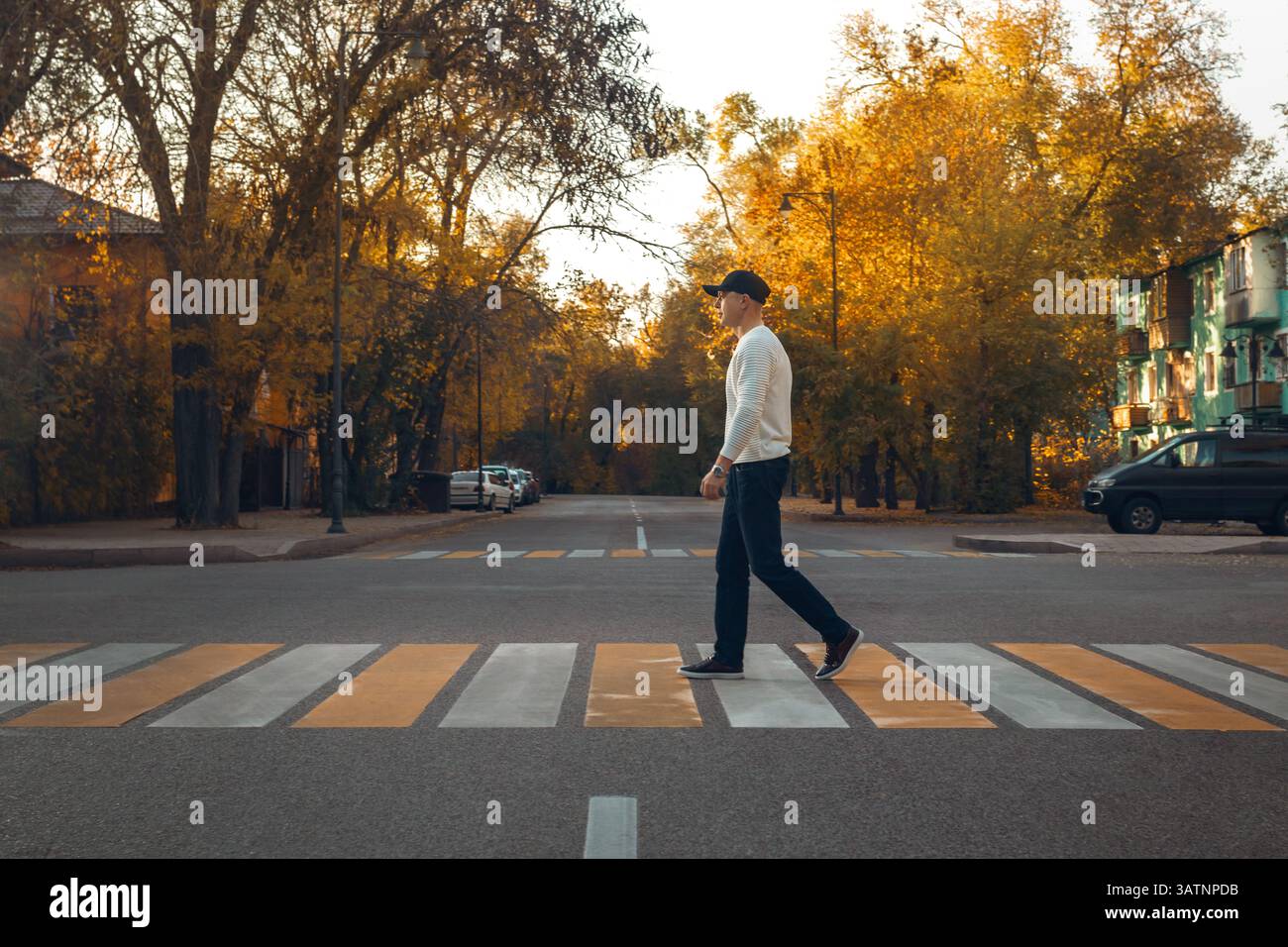 Zwangloser männlicher Fußgänger überquert Zebra-Crosswalk in friedlicher herbstlicher urbaner Umgebung bei Sonnenuntergang. Urbaner Lebensstil, Straßensicherheit, Gemeindeleben oder Seasona Stockfoto