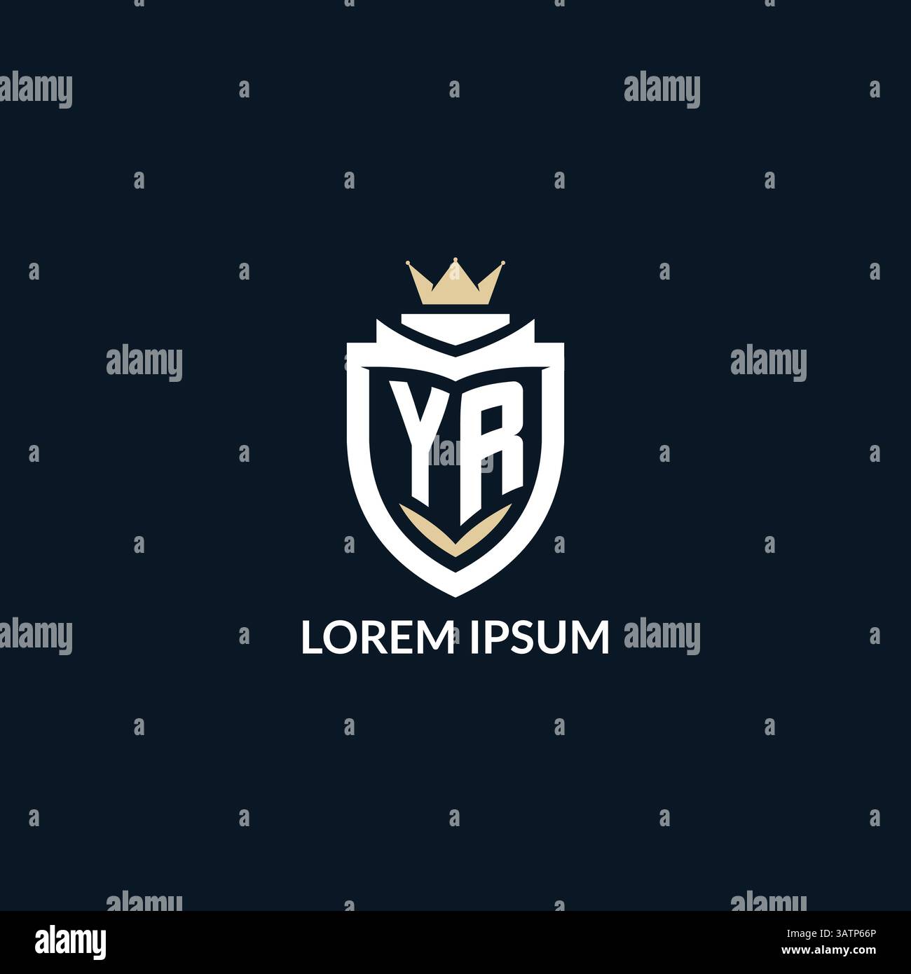 Initial Letter YR Shield und Kronenlogo, Vektorgrafik mit Esport Team Logo Stock Vektor