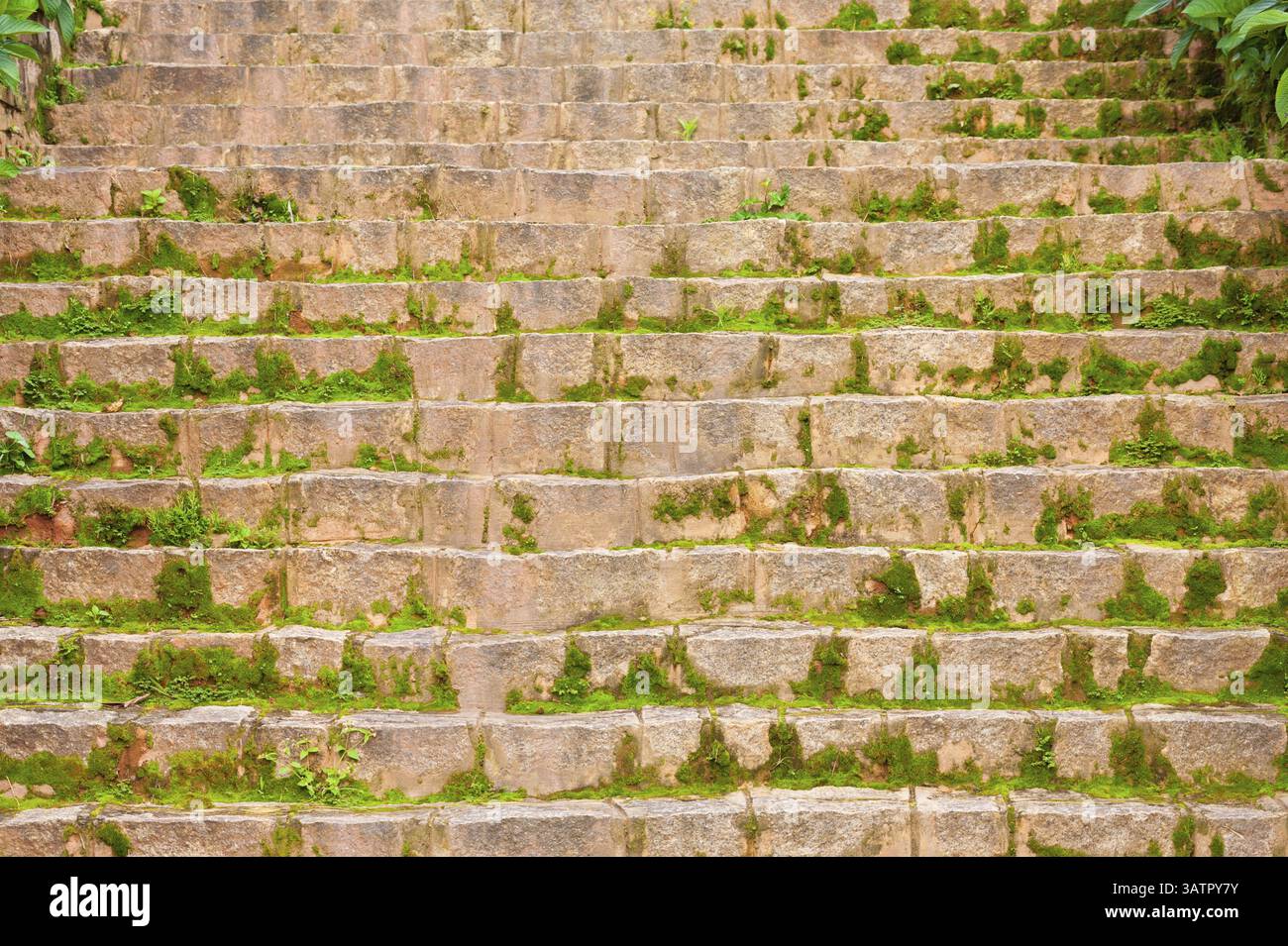 Moosige Steintreppe, als Hintergrund, Vorderansicht Stockfoto