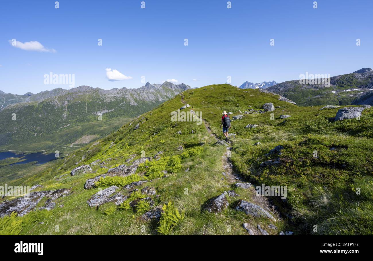 Blick auf die Berglandschaft, Bergsteiger auf dem Wanderweg zum Gipfel des Rundfjellet, Svolvaer, Nordland, Norwegen, Europa Stockfoto