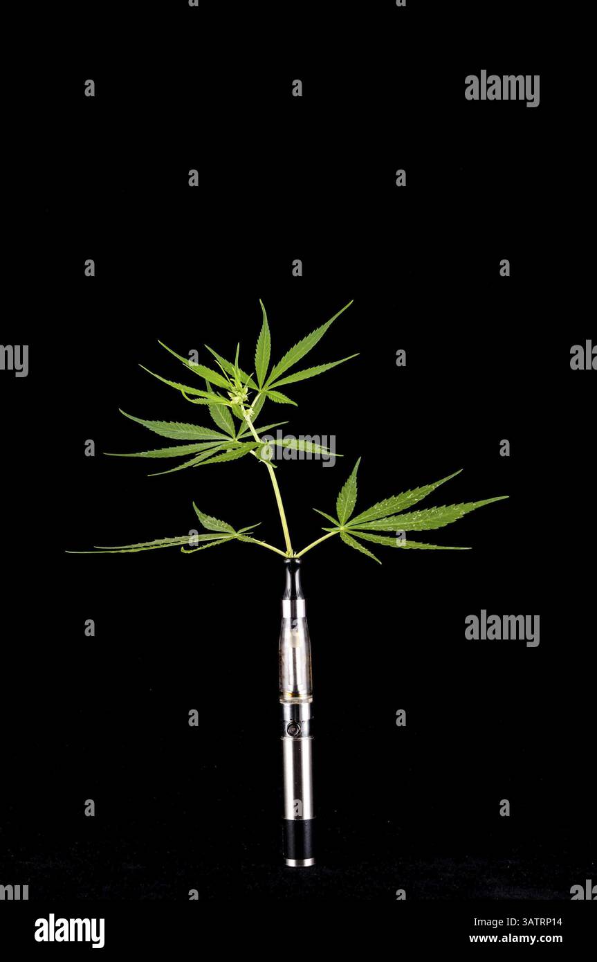 Moderner Metal Elektronische Zigarette E Cig Vaporizer und Cannabis Stockfoto