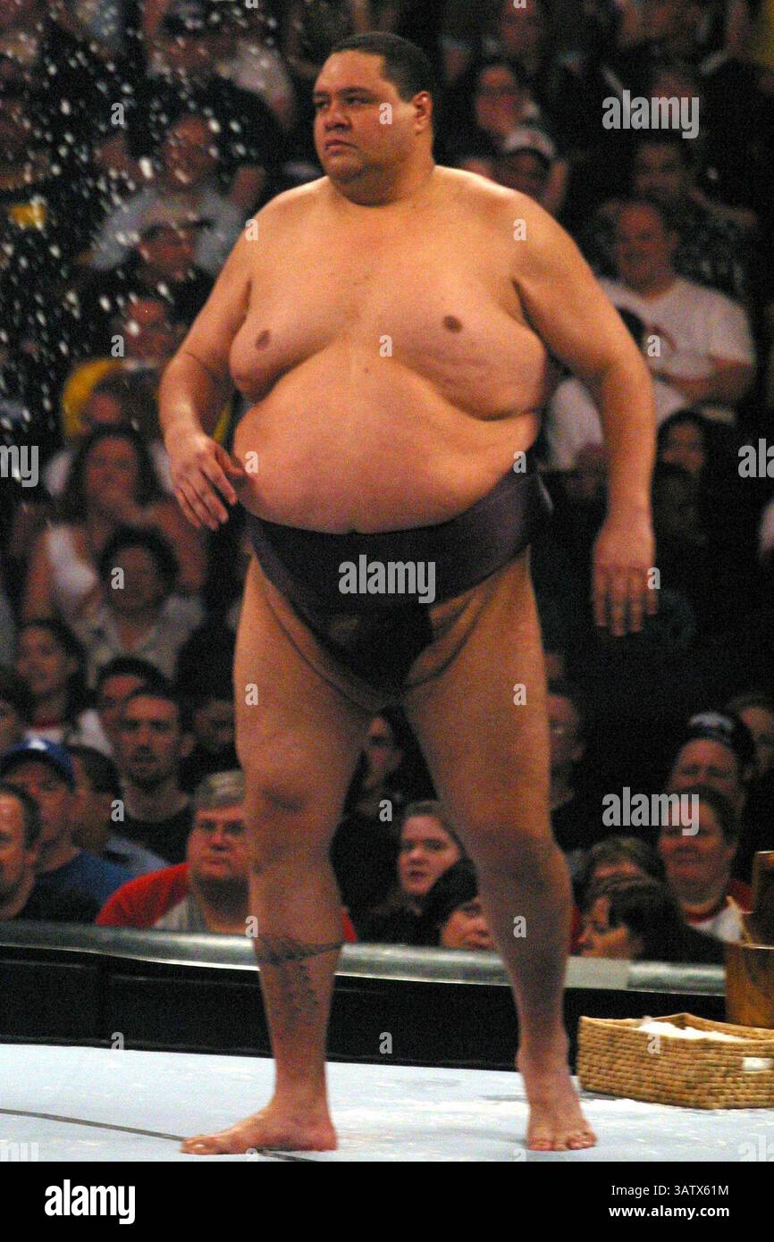 April 2005 – Los Angeles, KALIFORNIEN, USA – K42523MR.WRESTLEMANIA 21 IM STAPLES CENTER. LOS ANGELES, CA. 04.02.05. MILAN RYBA/2005.AKEBONO.(Bild: © Globe Photos/ZUMAPRESS.com) Stockfoto