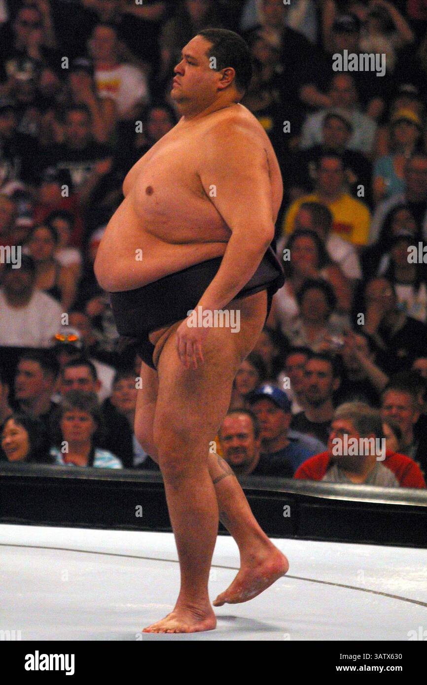 April 2005 – Los Angeles, KALIFORNIEN, USA – K42523MR.WRESTLEMANIA 21 IM STAPLES CENTER. LOS ANGELES, CA. 04.02.05. MILAN RYBA/2005.AKEBONO.(Bild: © Globe Photos/ZUMAPRESS.com) Stockfoto
