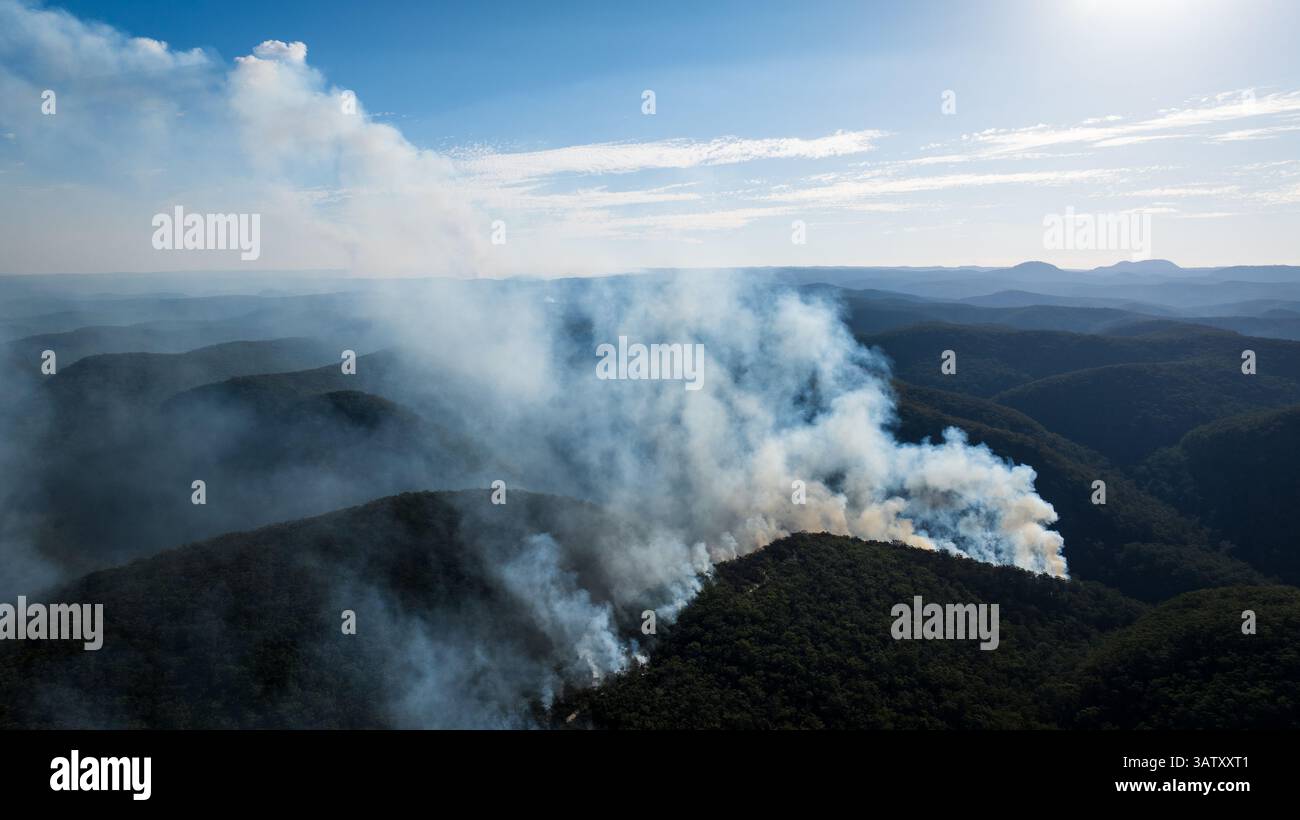 Buschbrände in den Blue Mountains, New South Wales, Australien Stockfoto