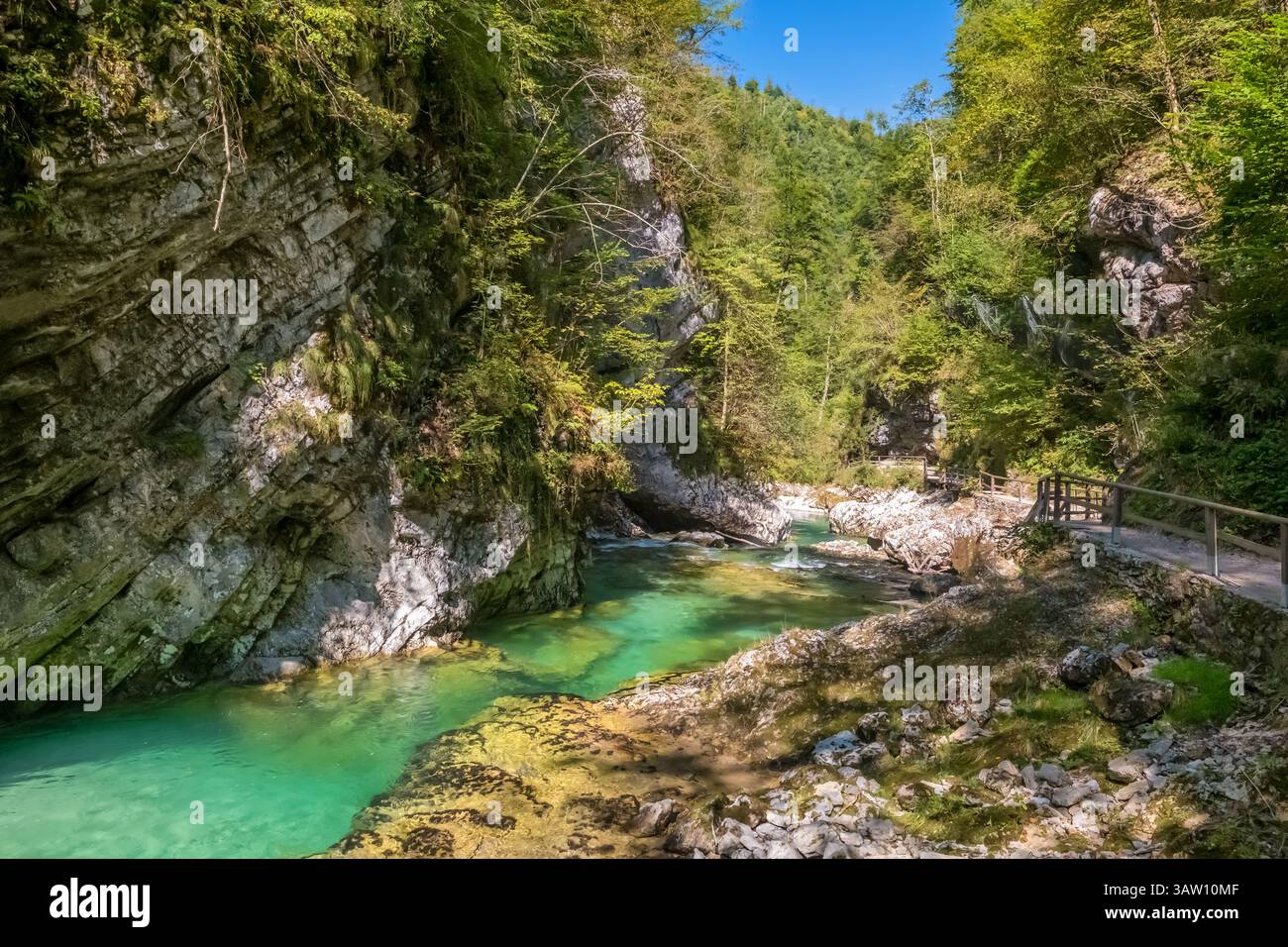 Wunderschöne Landschaft von Soteska Vintgar in den Julischen Alpen, Slowenien. Stockfoto
