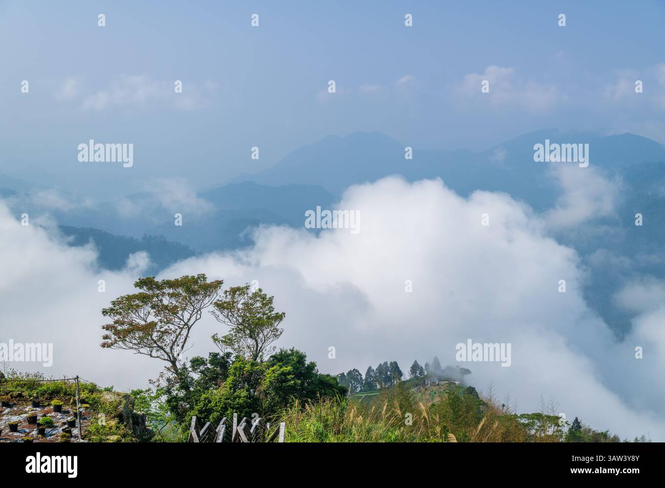 Begeben Sie sich in ein traumhaftes Reich, in dem Nebel über den Bergen des Chiayi County, Taiwan, tanzt. An diesem Frühlingsnachmittagsszene fängt die ätherische Schönheit ein Stockfoto