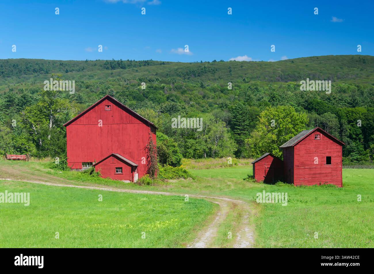 Alte verwitterte rote Scheunen auf einer Farm im Westen von massachusetts an einem sonnigen Sommertag. Stockfoto