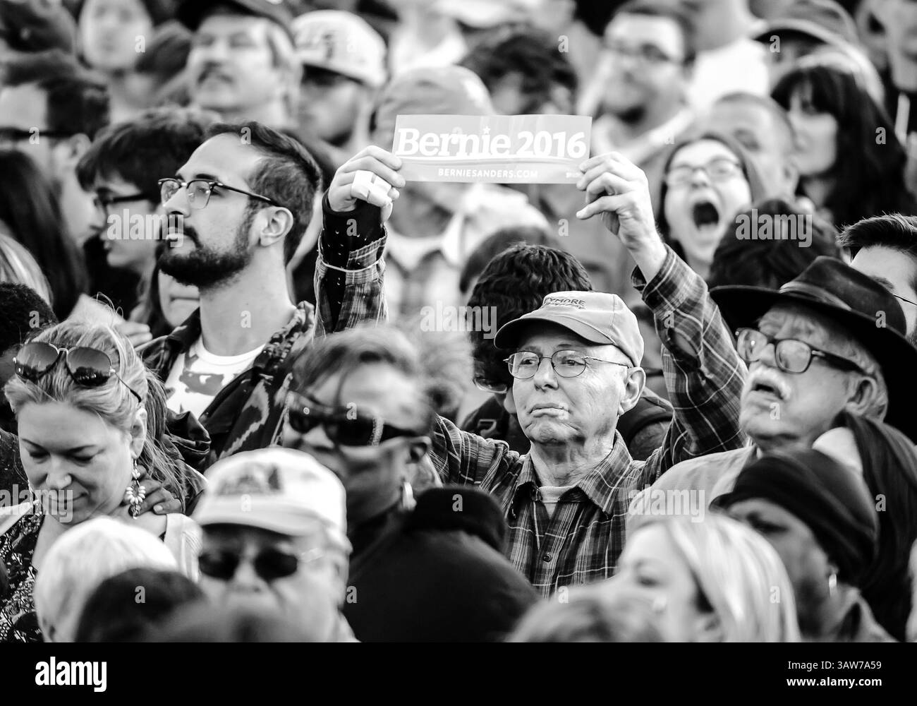 25. April 2016 – New Haven, Connecticut, USA – 24. April 2016: Szenen des Tages, bevor der demokratische Präsidentschaftskandidat BERNIE SANDERS bei einer Wahlkampfkundgebung auf dem New Haven Green in New Haven, CT, mit Unterstützern spricht. (Kreditbild: © Bill Shettle via ZUMA Wire) Stockfoto