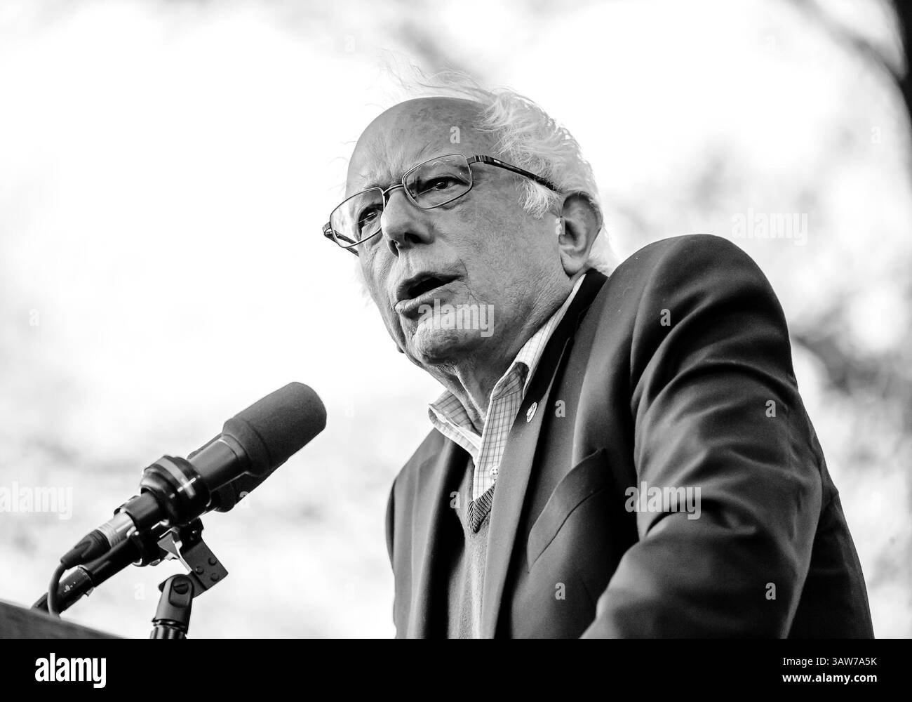 25. April 2016 – New Haven, Connecticut, USA – 24. April 2016: Der demokratische Präsidentschaftskandidat BERNIE SANDERS spricht mit Unterstützern bei einer Wahlkampfveranstaltung auf dem Green von New Haven in New Haven, CT. (Kreditbild: © Bill Shettle via ZUMA Wire) Stockfoto