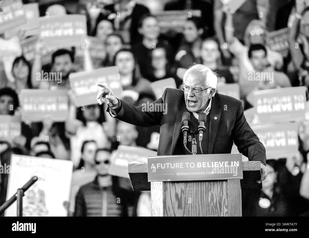 25. April 2016 – New Haven, Connecticut, USA – 24. April 2016: Der demokratische Präsidentschaftskandidat BERNIE SANDERS spricht mit Unterstützern bei einer Wahlkampfveranstaltung auf dem Green von New Haven in New Haven, CT. (Kreditbild: © Bill Shettle via ZUMA Wire) Stockfoto
