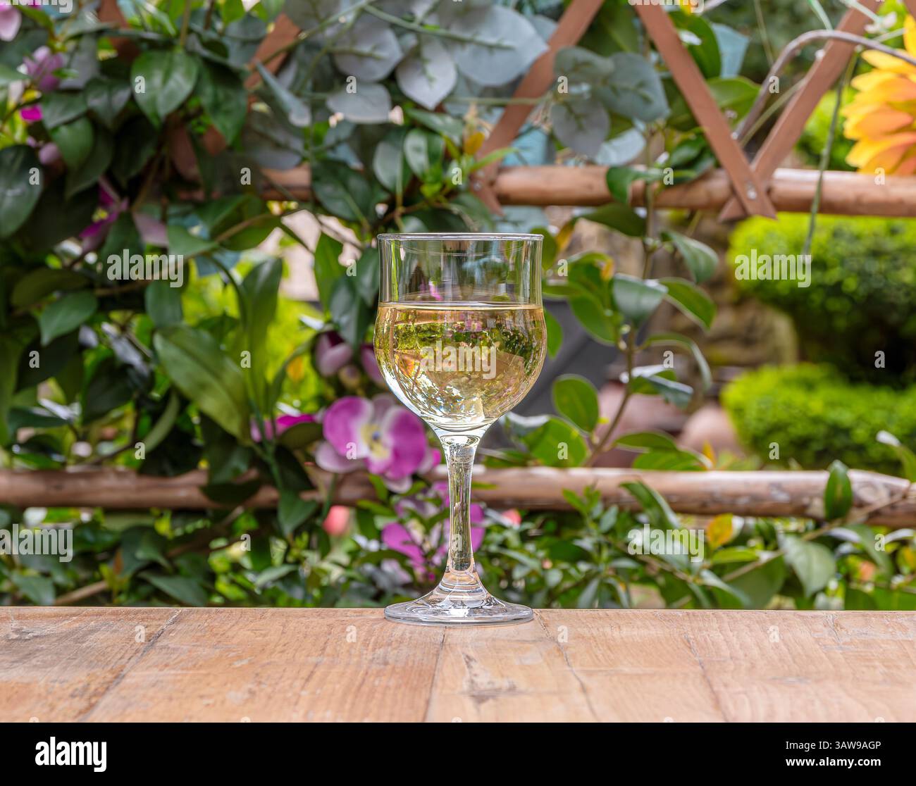 Ein Glas Wein in einer natürlichen Umgebung mit einem sanft verschwommenen Hintergrund. Stockfoto