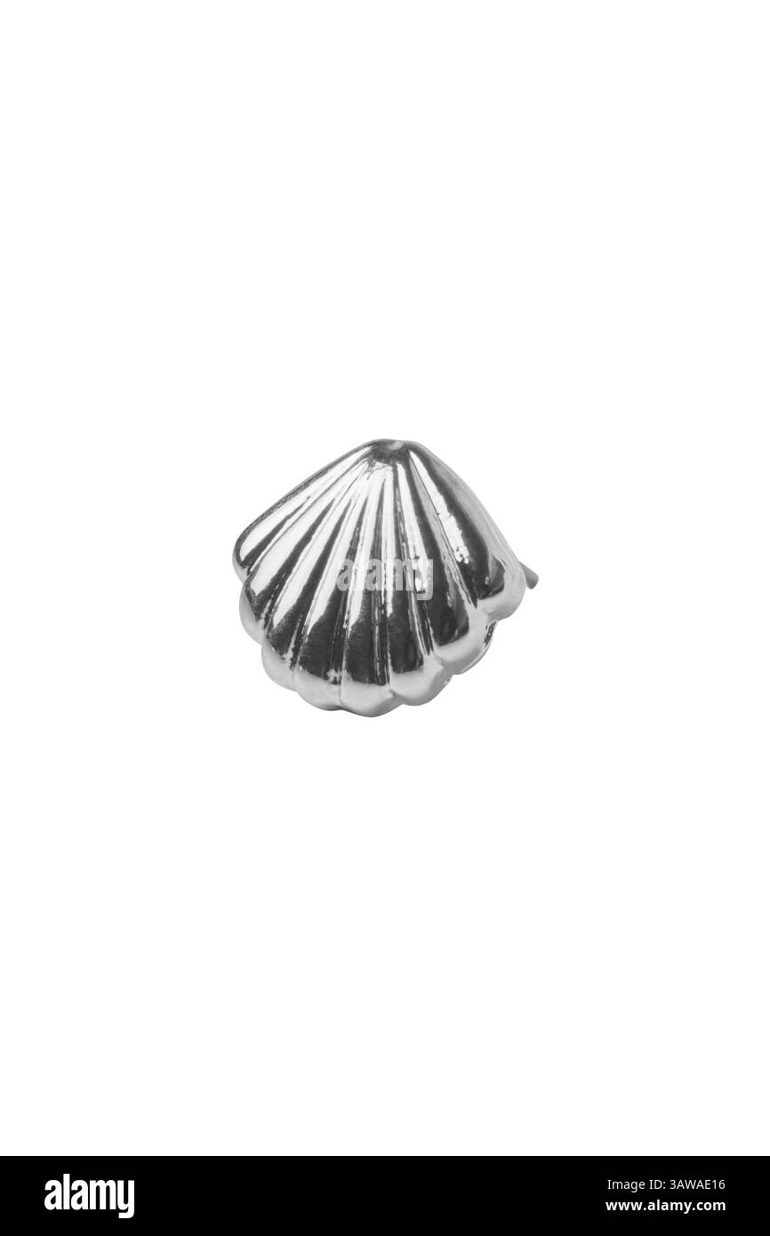 Glitzernde silberne Muschel, ein einzelnes, glänzendes Exemplar, isoliert auf weiß. Makroaufnahmen im Studio zeigen perlfarbene Texturen Stockfoto