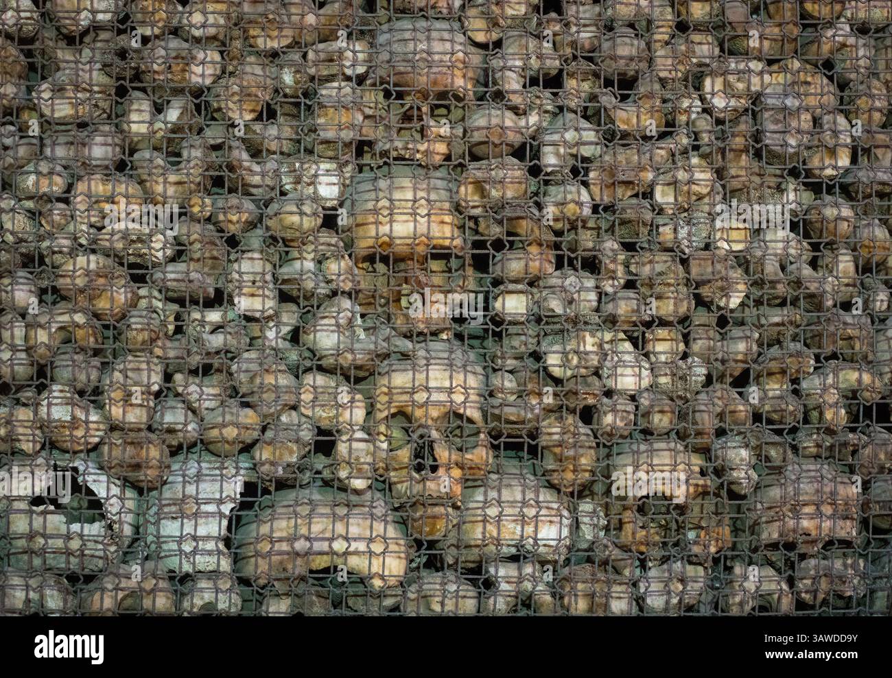 San Bernardino alle Ossa ist eine Kirche in Mailand, die vor allem für ihr Ossuarium bekannt ist, eine kleine Seitenkapelle, die mit zahlreichen menschlichen Schädeln und Knochen verziert ist. 1210, als ein benachbarter Friedhof dem Raum ausging, wurde ein Raum zur Aufbewahrung von Knochen gebaut. Eine Kirche wurde 1269 angebaut. 1679 renoviert und 1712 durch einen Brand zerstört. An die ältere Kirche wurde dann eine neue größere Kirche angeschlossen und dem Heiligen Bernardino von Siena geweiht. Chiesa di San Bernardino alle Ossa, Piazza Santo Stefano, Mailand, Italien Stockfoto