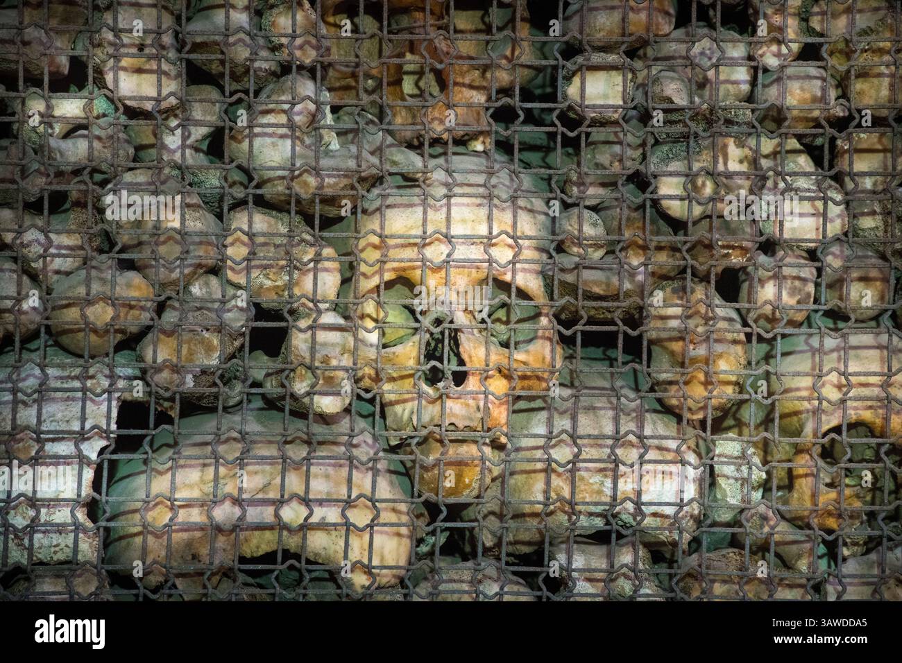 San Bernardino alle Ossa ist eine Kirche in Mailand, die vor allem für ihr Ossuarium bekannt ist, eine kleine Seitenkapelle, die mit zahlreichen menschlichen Schädeln und Knochen verziert ist. 1210, als ein benachbarter Friedhof dem Raum ausging, wurde ein Raum zur Aufbewahrung von Knochen gebaut. Eine Kirche wurde 1269 angebaut. 1679 renoviert und 1712 durch einen Brand zerstört. An die ältere Kirche wurde dann eine neue größere Kirche angeschlossen und dem Heiligen Bernardino von Siena geweiht. Chiesa di San Bernardino alle Ossa, Piazza Santo Stefano, Mailand, Italien Stockfoto