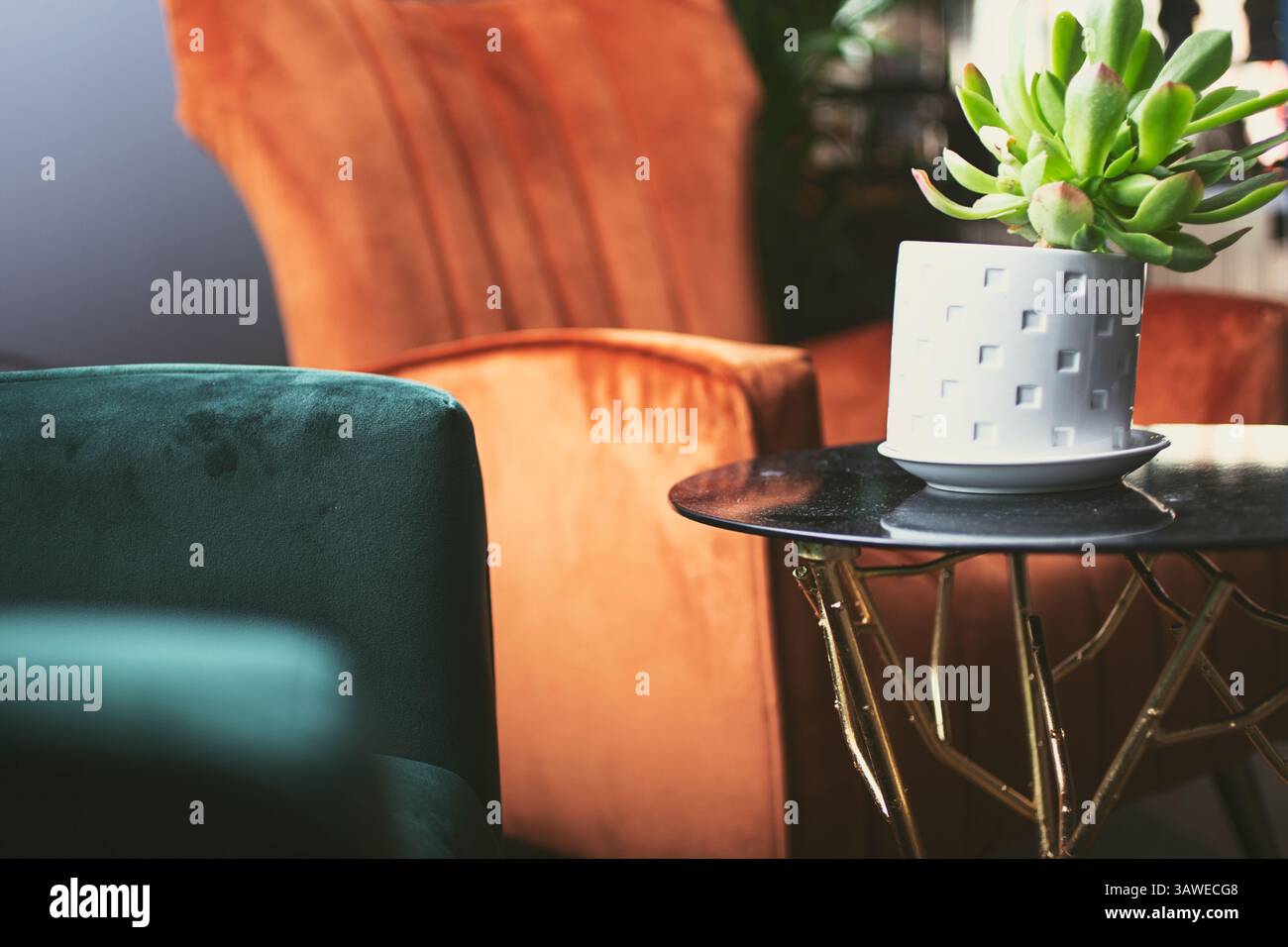 Blick auf das Wohnzimmer mit Liegestühlen. Stockfoto