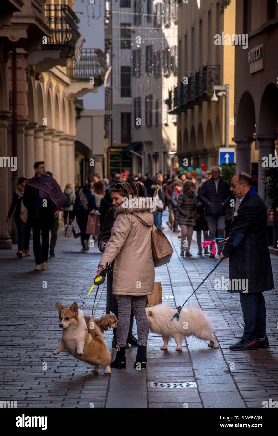Allgemeine Straßenszene mit Menschen, die die Straßen im Zentrum von Lugano, Tessin, Schweiz, genießen. Hunde sind beliebte Haustiere in der Schweiz und so ist es ein häufiger Anblick, Menschen mit ihren Hunden gehen zu sehen. Nur für nicht kritische redaktionelle Zwecke. Stockfoto