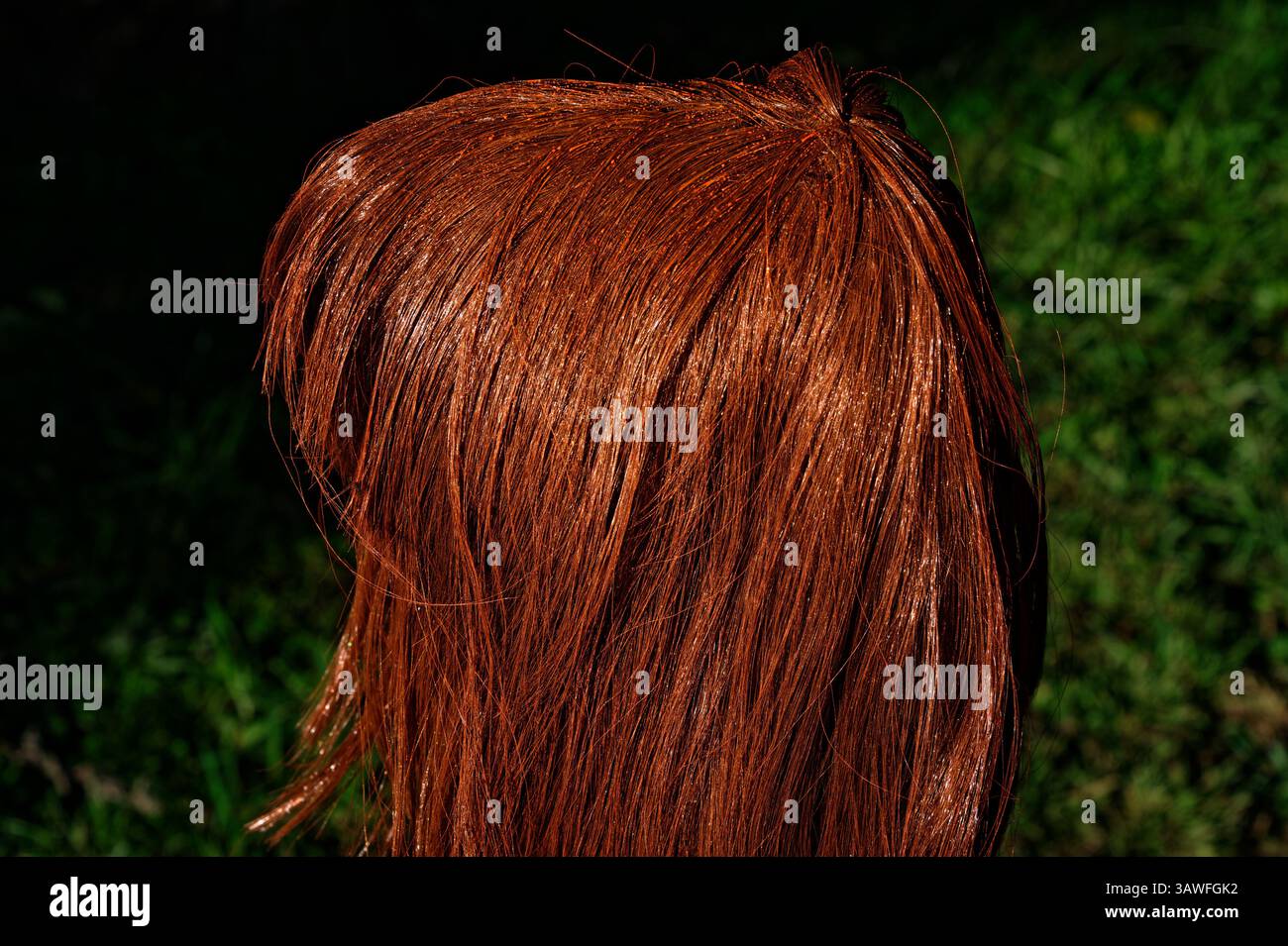 Eine Perücke ist draußen, damit sie für eine schicke Kostümparty besprüht werden kann. Das orangefarbene Spray ist an der Spitze der Perücke zu sehen. Stockfoto