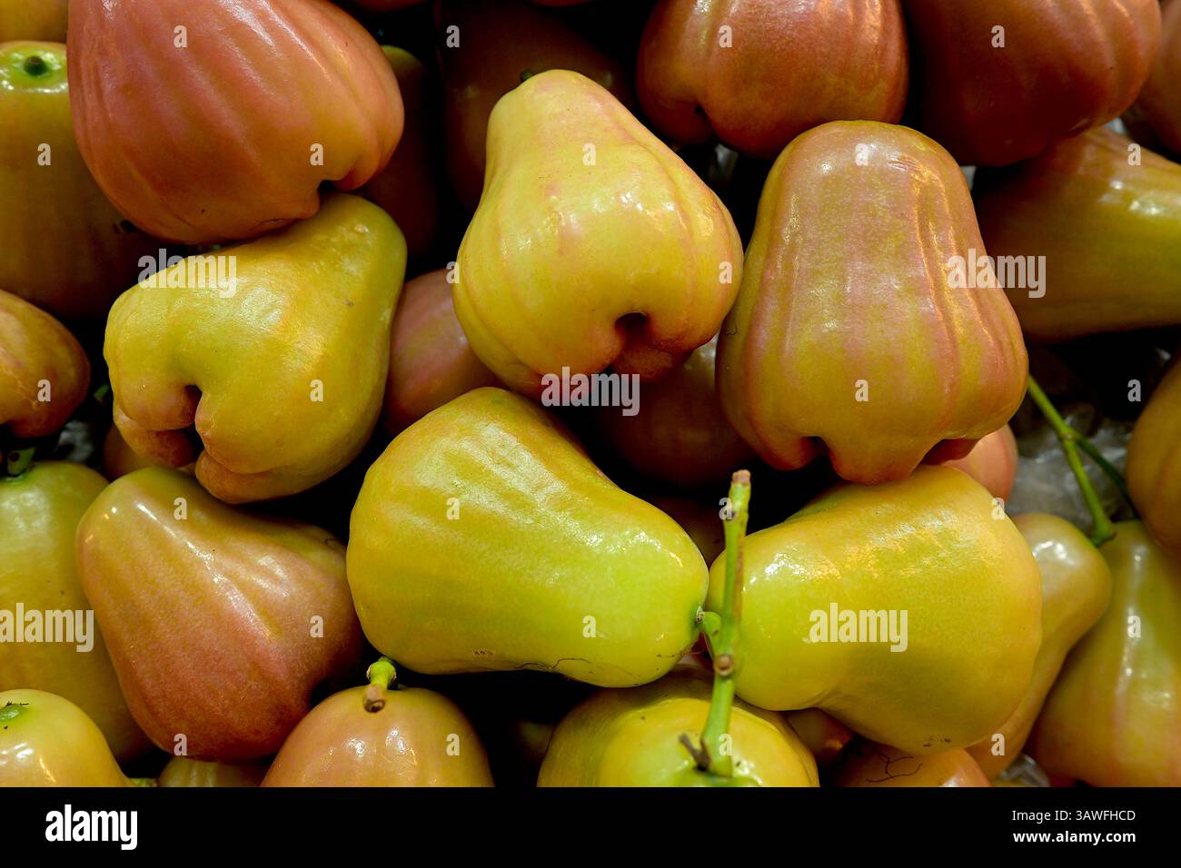 Frische glockenförmige, essbare Rosenapfelbeeren, in Thailand auch bekannt als chompoo, zum Verkauf an einem Marktstand Stockfoto