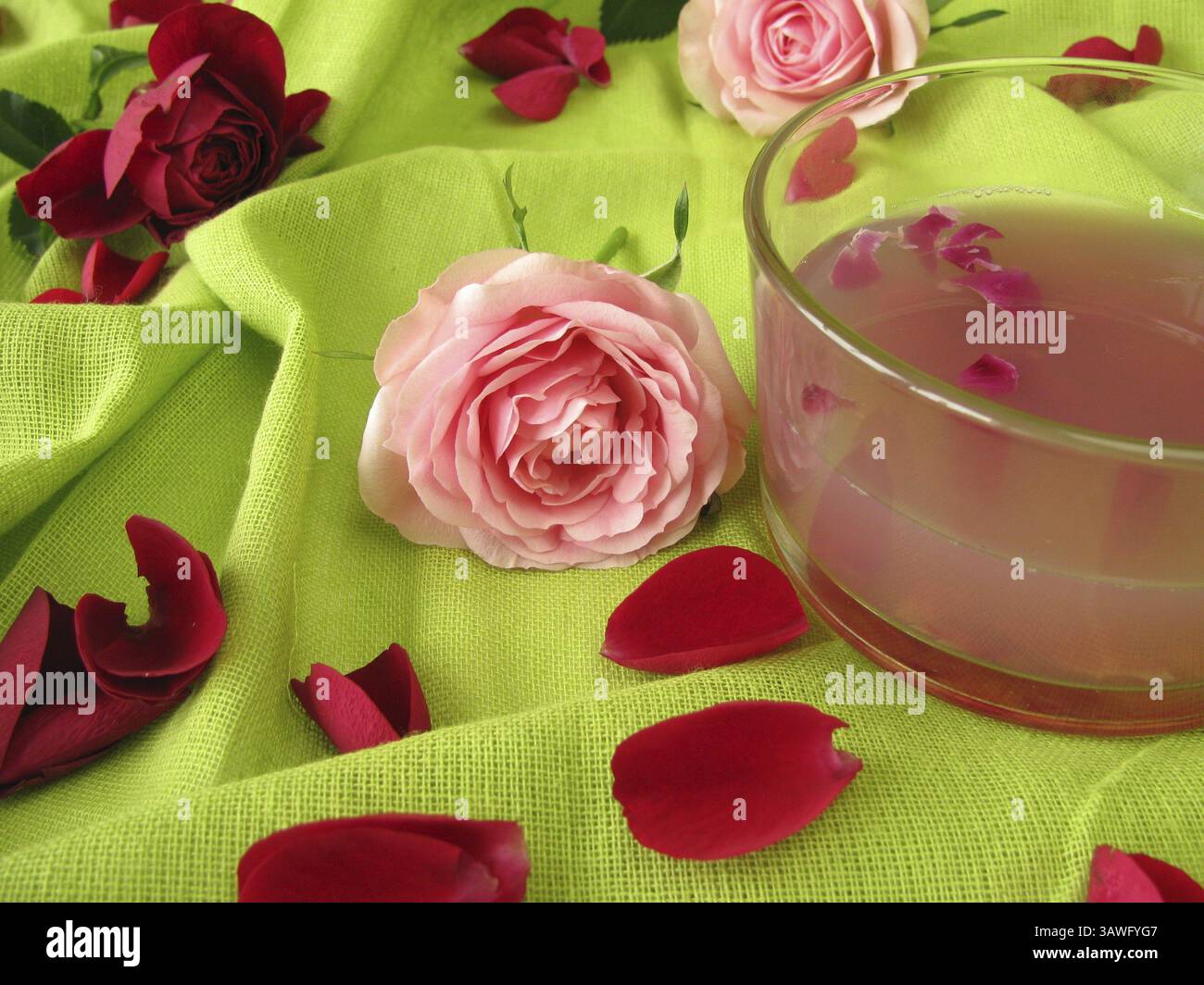 Rosenblau-Gele Stockfoto