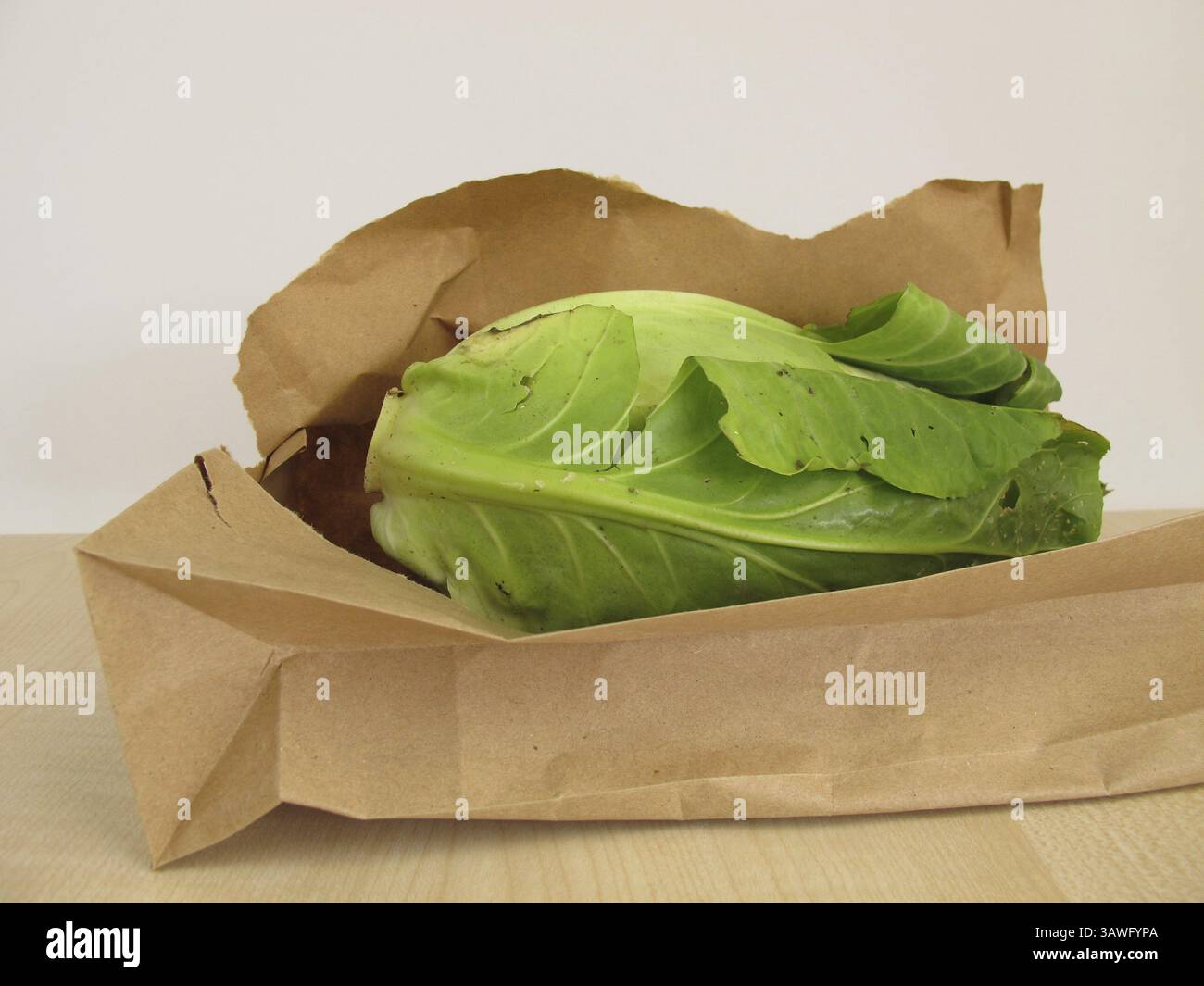 Ein Spitzkohl in einer Papiertüte Stockfoto