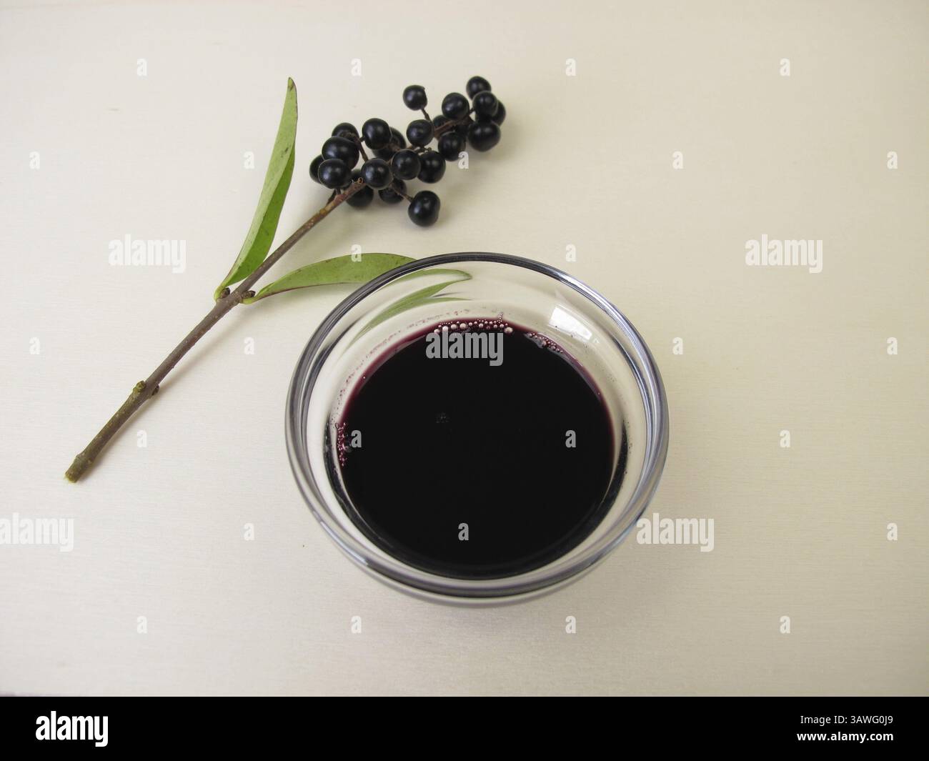 Schwarze violette Tinte aus Traubenbeeren, Traubenbeertinte Stockfoto