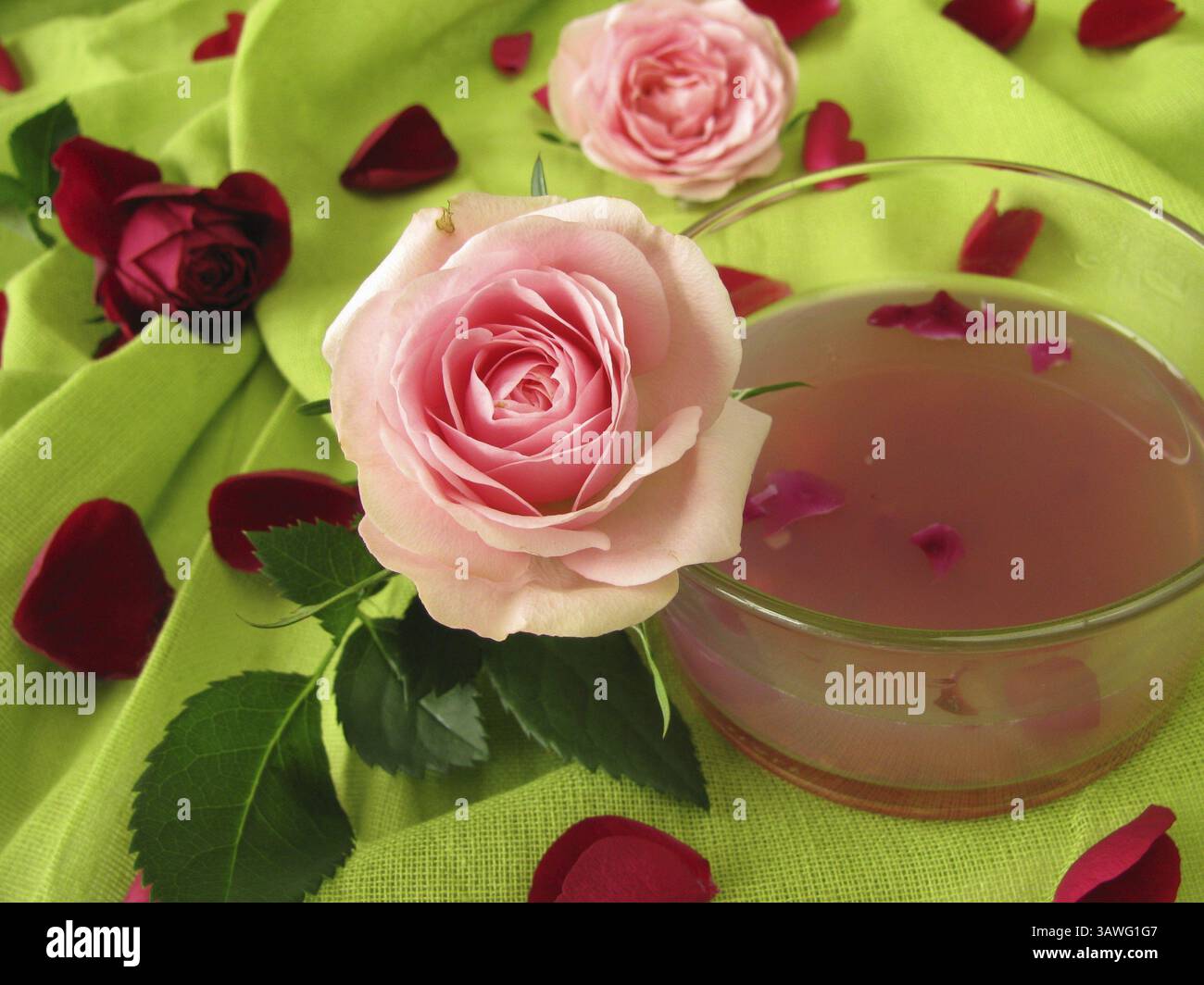 Rosenblau-Gele Stockfoto