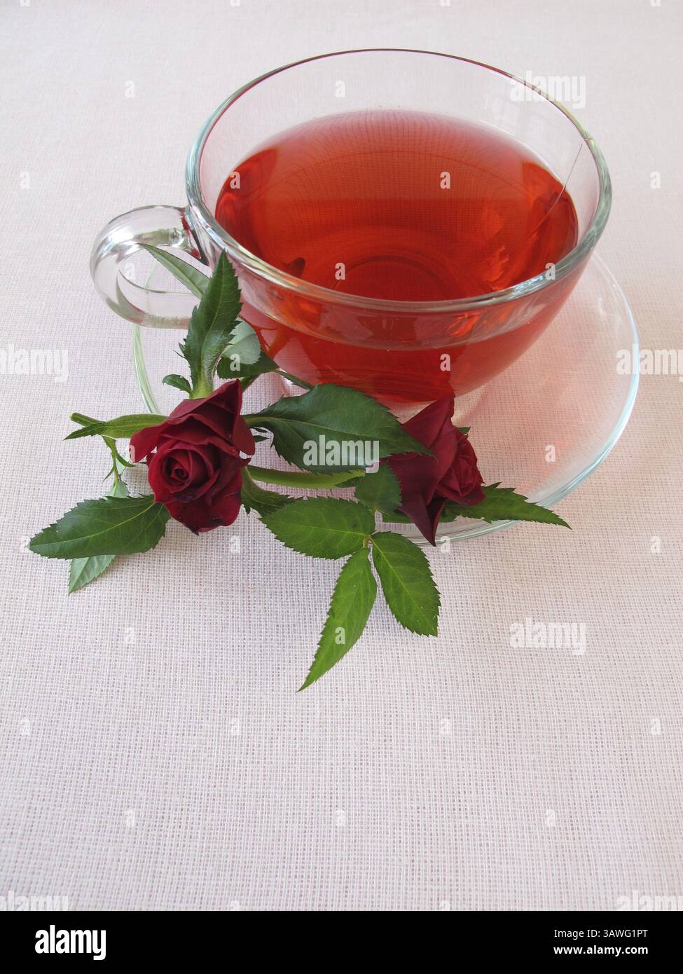 Rosafarbenes blaugeflügeltes Petrol Stockfoto