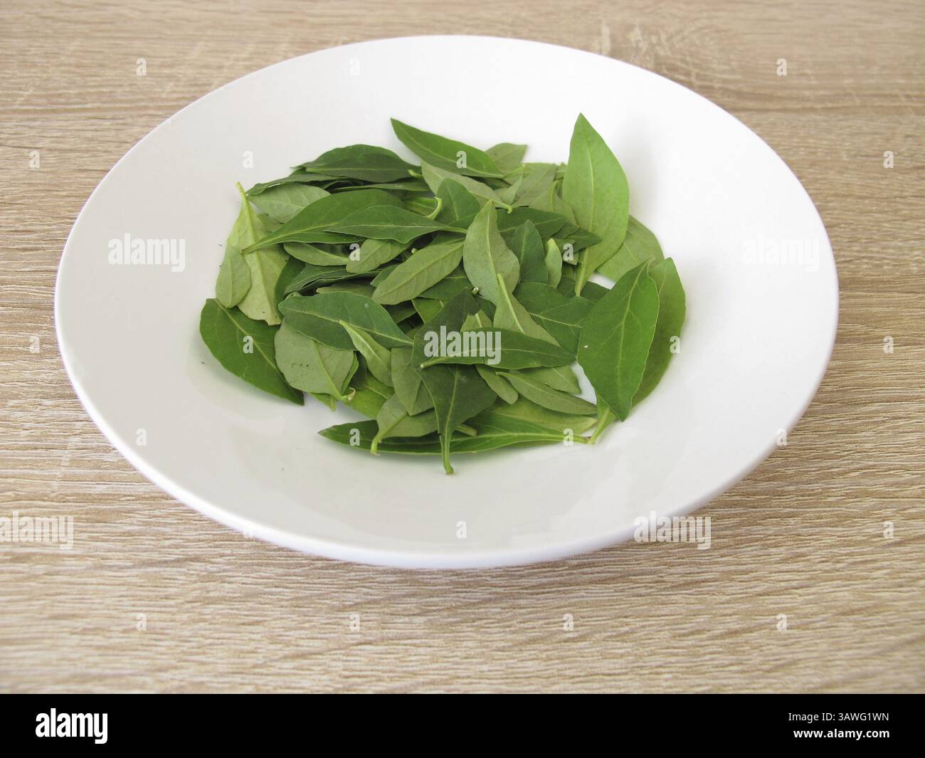 Frische Goji-Blätter auf einem Teller Stockfoto