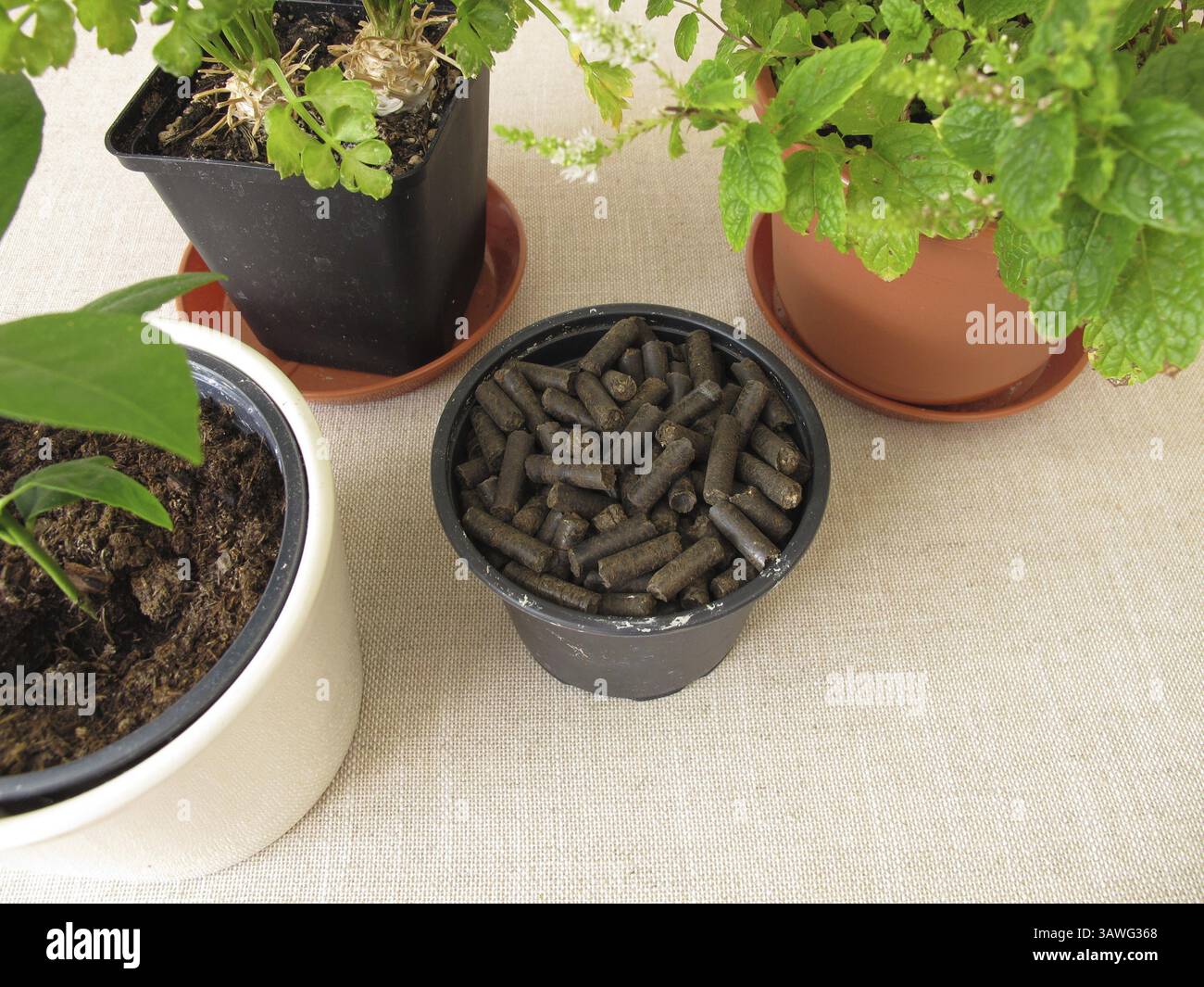 Pferdemist-Pellets zur Dngung von Pflanzen Stockfotografie - Alamy