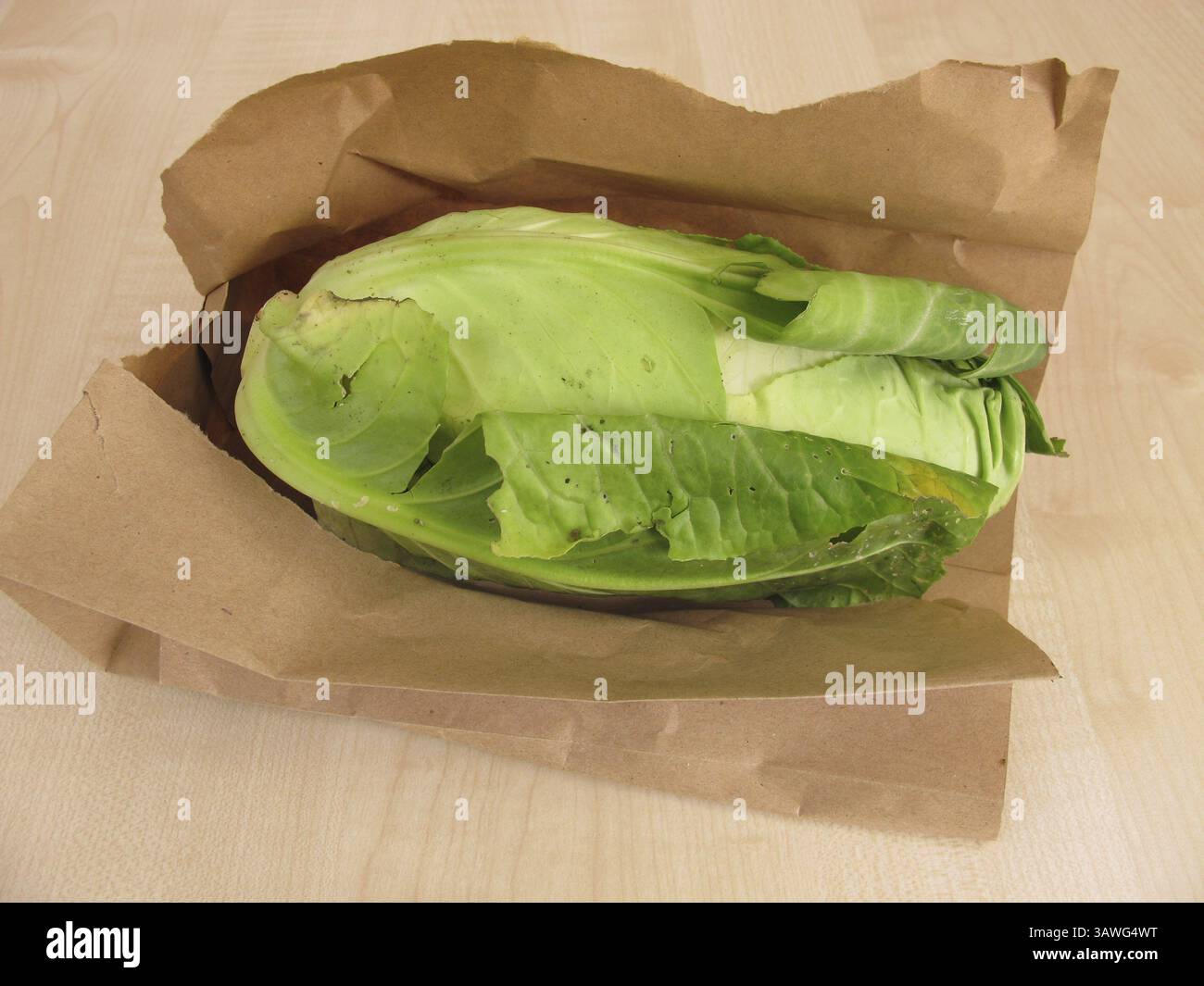 Ein Spitzkohl in einer Papiertüte Stockfoto