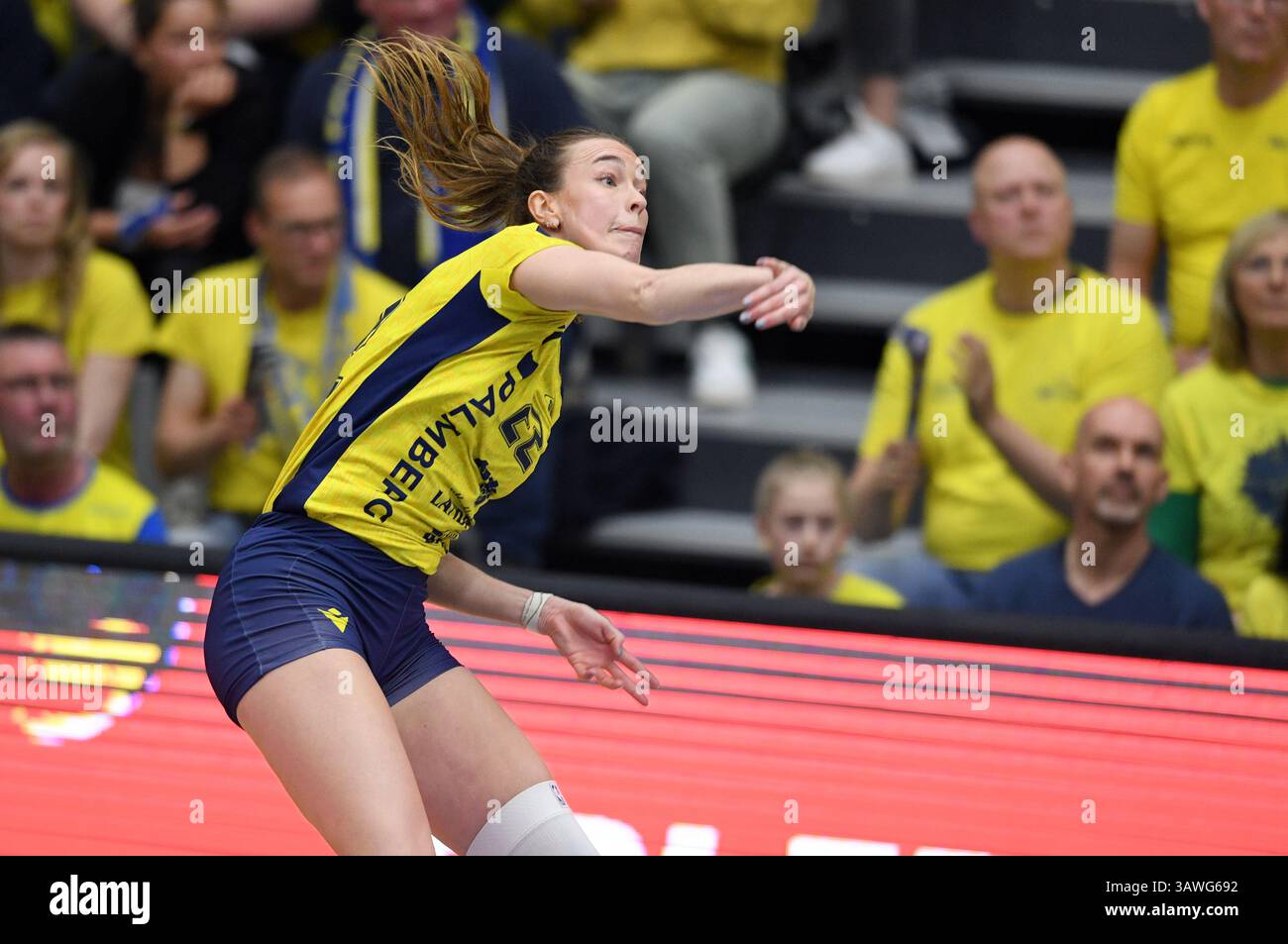 Schwerin, Deutschland. April 2025. Volleyball, Frauen: Bundesliga, SSC Palmberg Schwerin - Dresdner SC, Meisterschaftsrunde, Finale, Spieltag 1: Schwerins Rose Jaelyn Keene. Quelle: Michael Schwartz/dpa/Alamy Live News Stockfoto