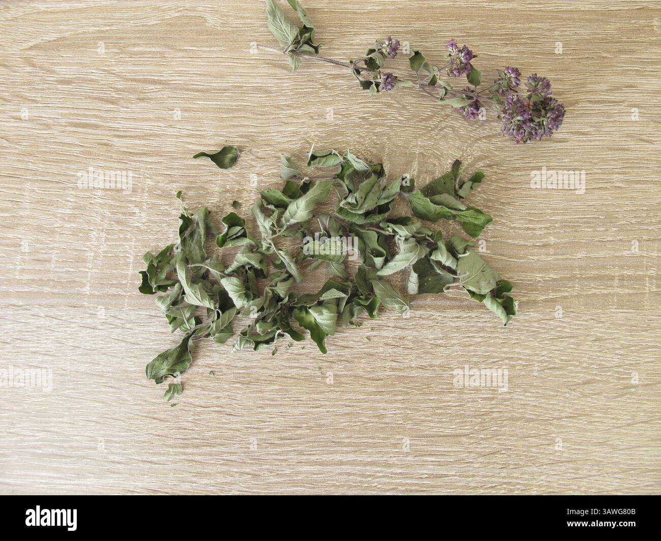 Getrockneter wilder Marjoram Stockfoto