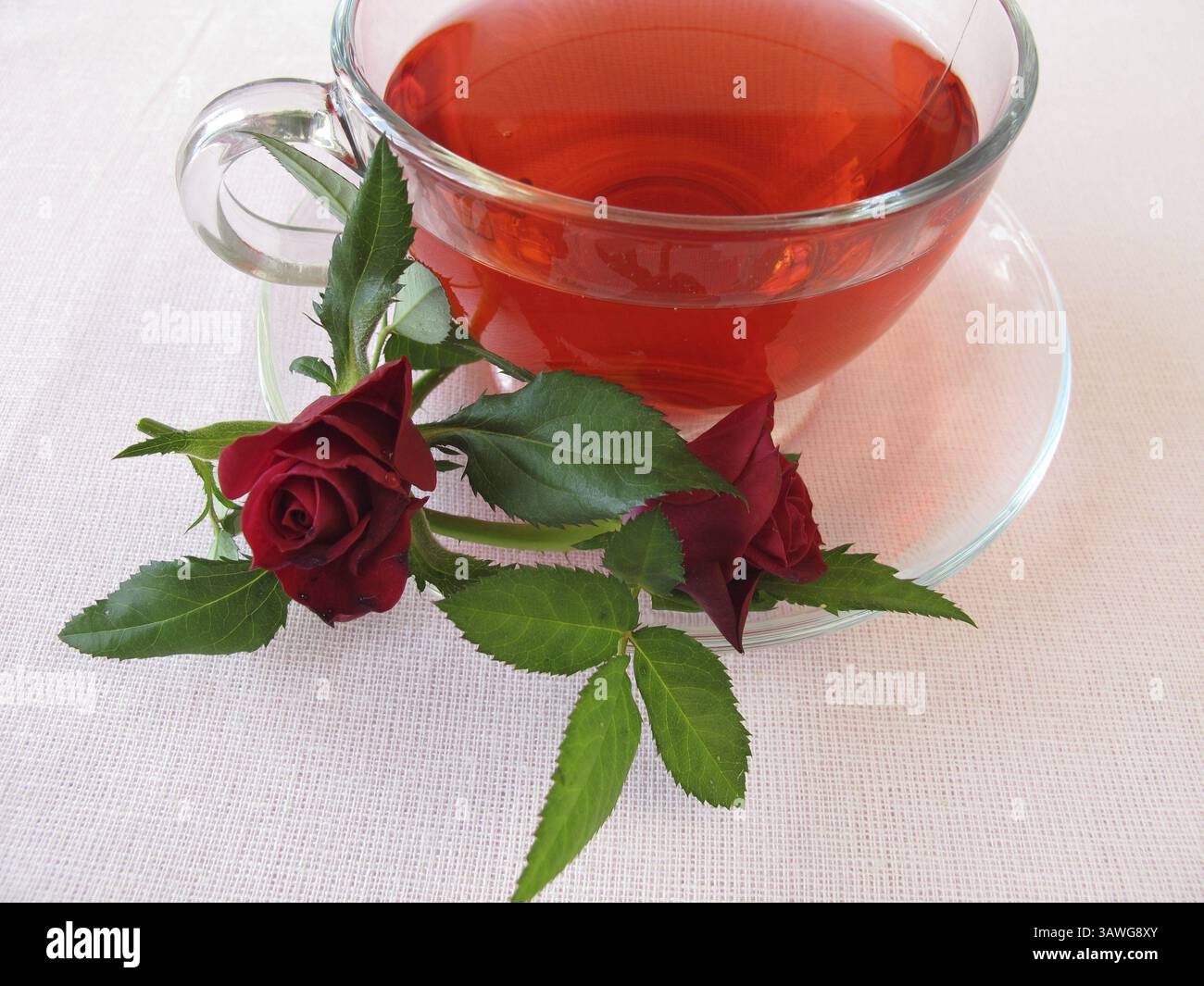 Rosafarbenes blaugeflügeltes Petrol Stockfoto