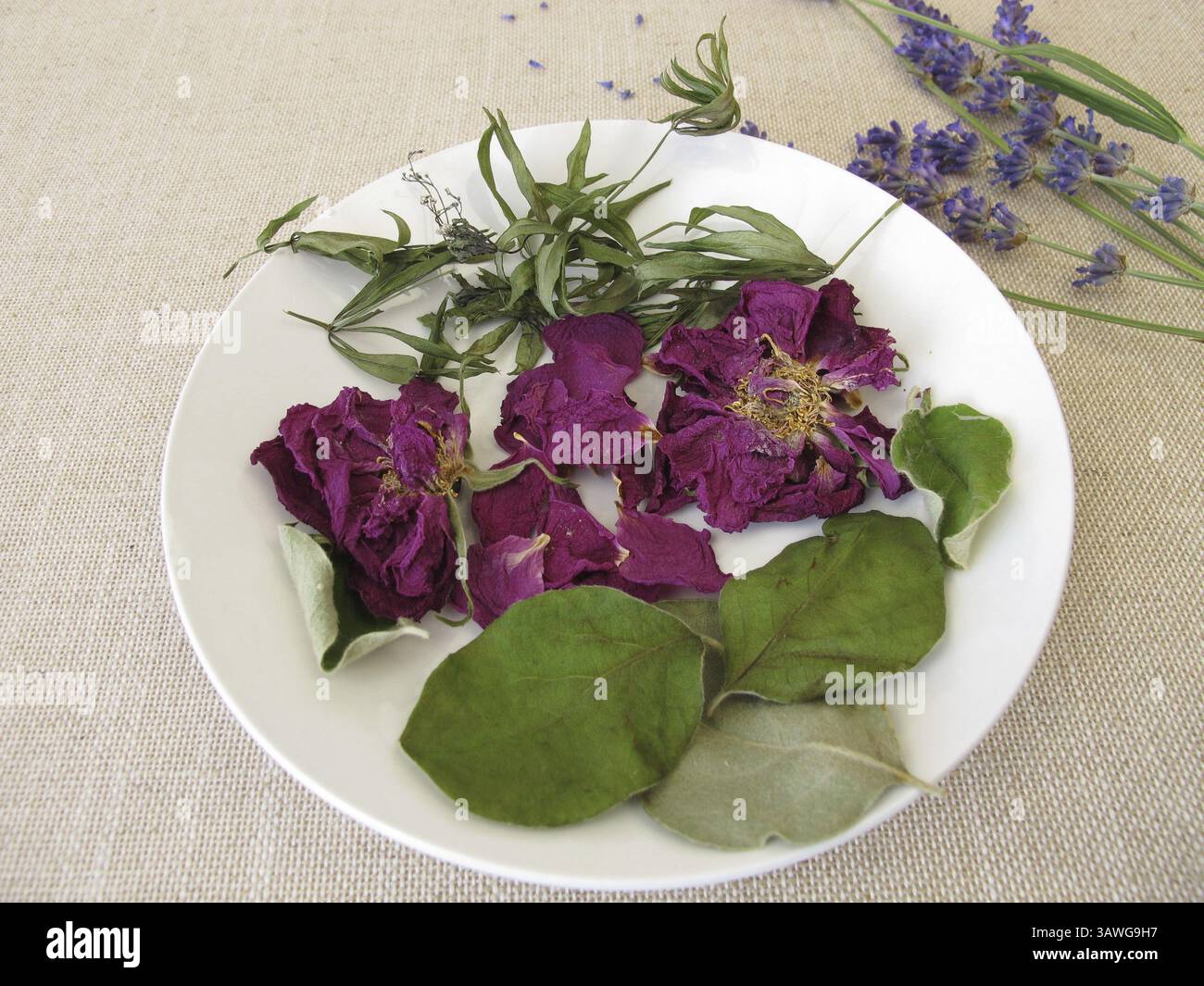 Duftendes Potpourri mit Rosenblättern, Holzdruff, Quittenblättern und Lavendel Stockfoto