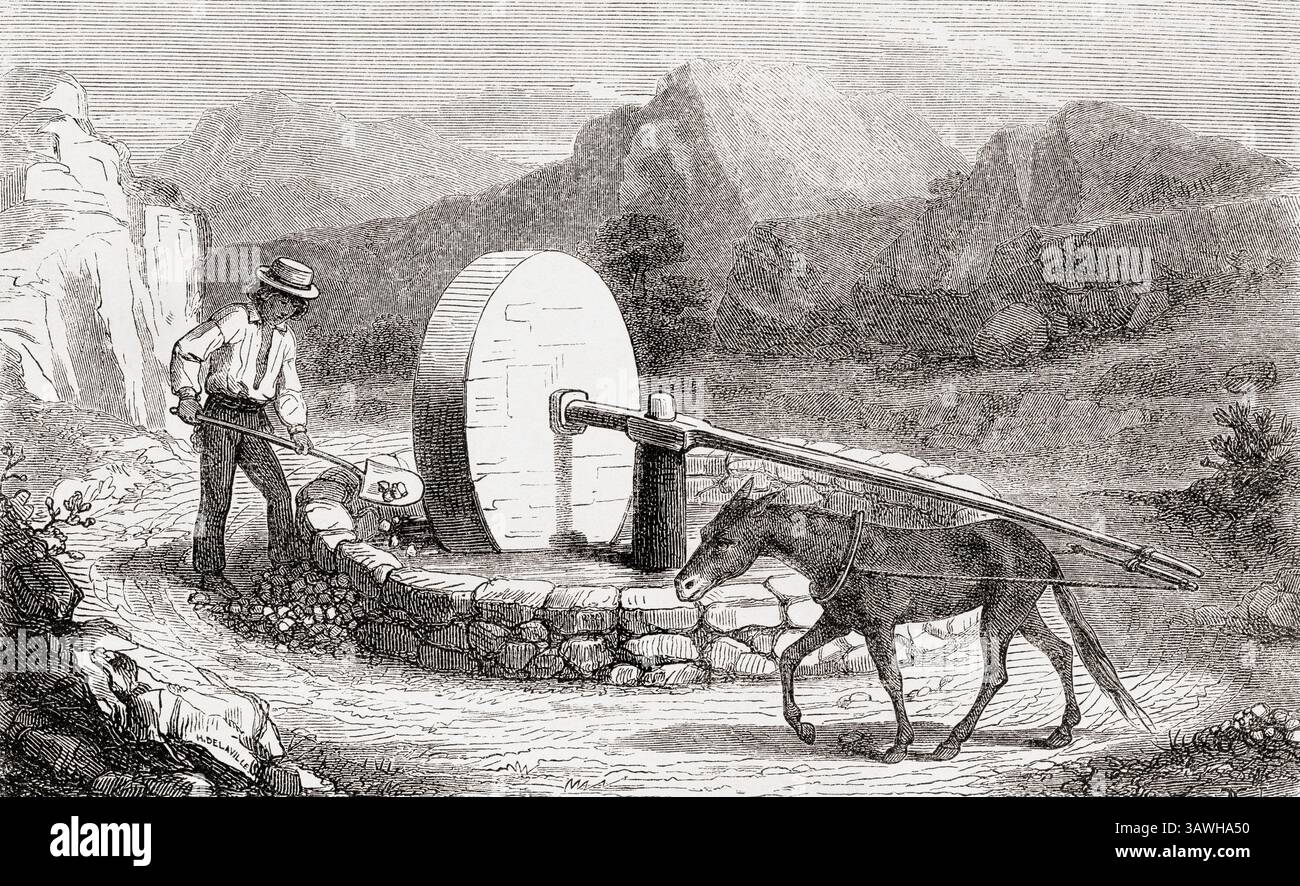 Ein Goldminer, der eine chilenische Mühle für die Goldverarbeitung nutzt, Kalifornien, 19. Jahrhundert. Aus der Reise in Kalifornien von L. Simonin, 1859. In Le Tour du Monde, veröffentlicht 1862. Stockfoto